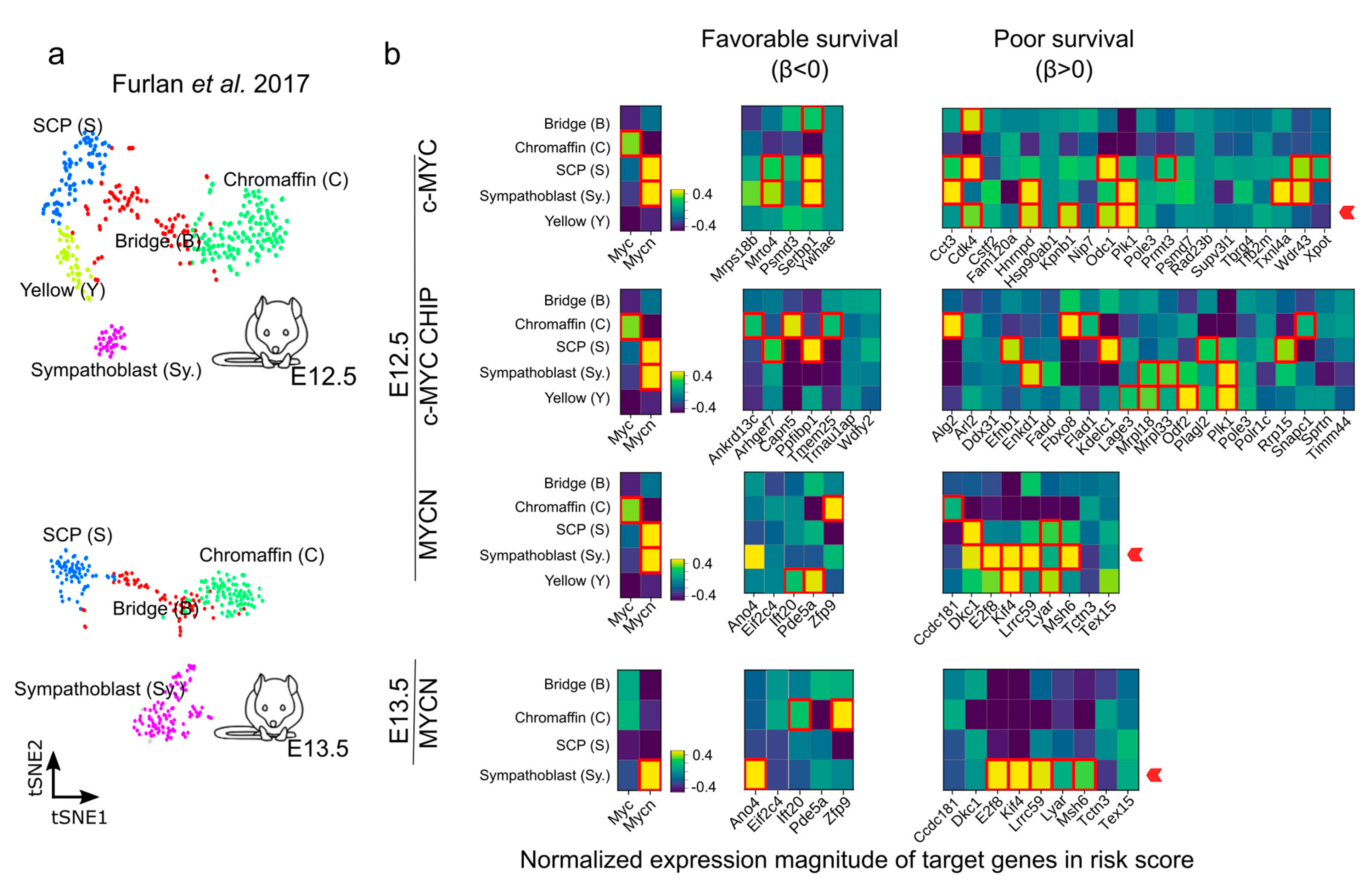 Cancers 15 04599 g007