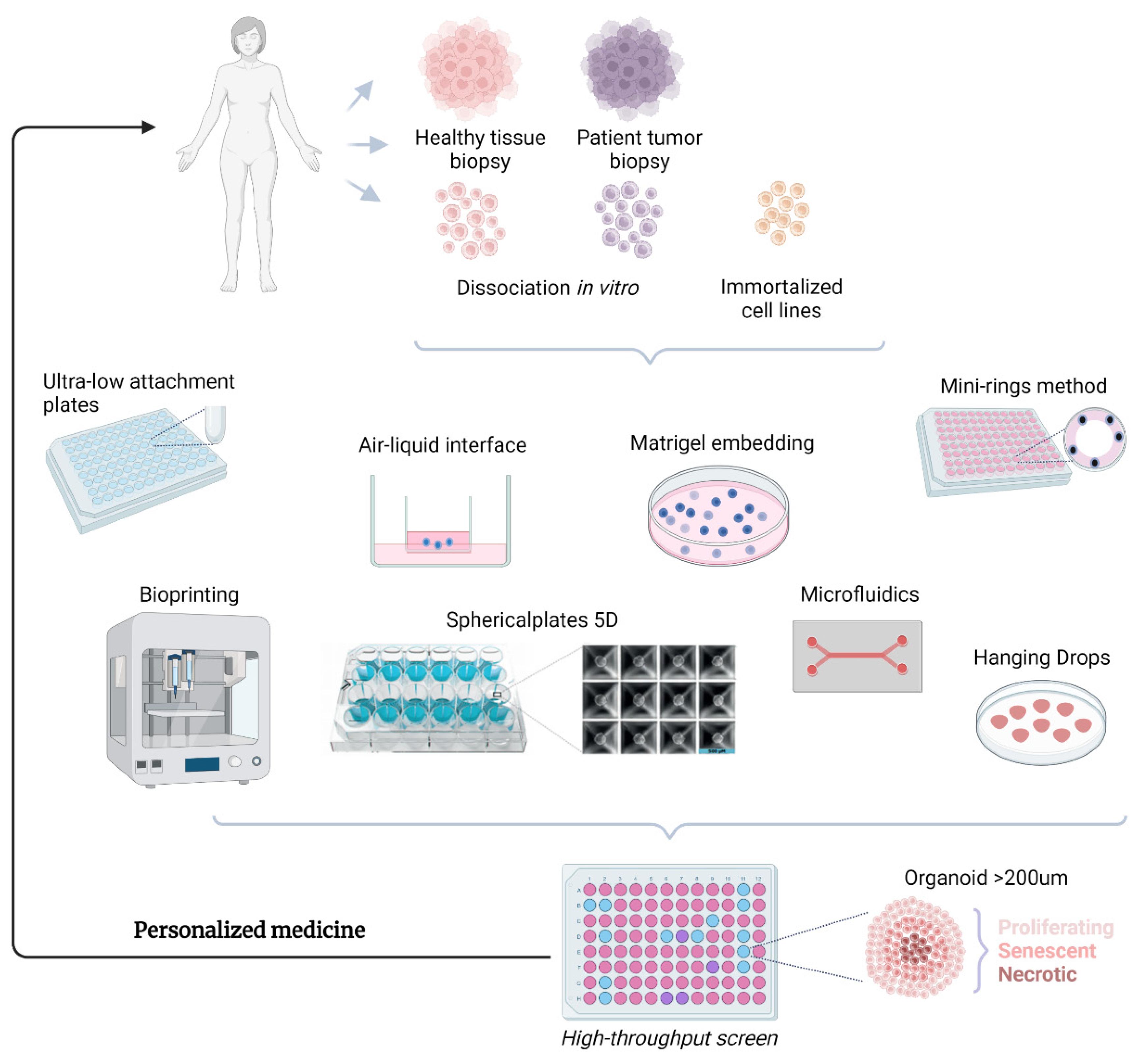 Cancers 15 04601 g002 Cancers 15 04601 g002