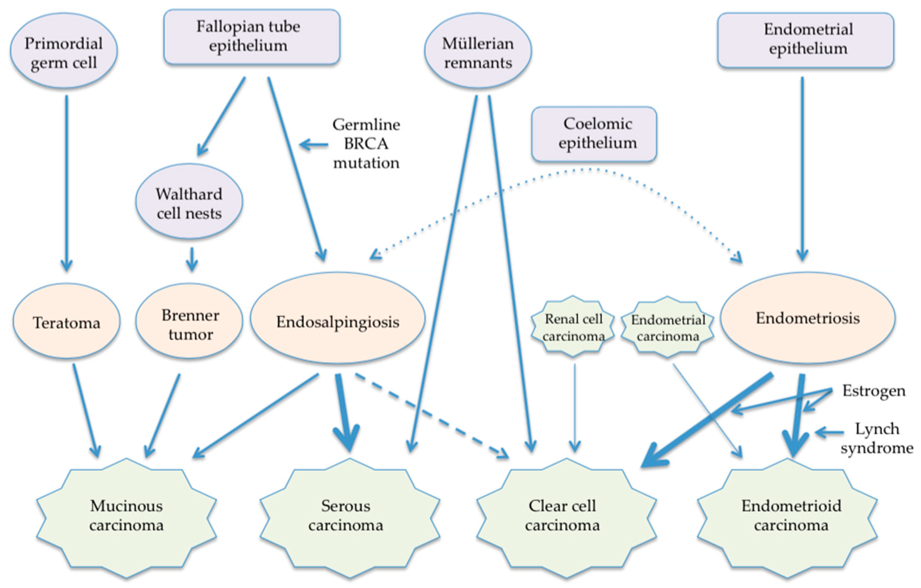 Cancers 15 04614 g001