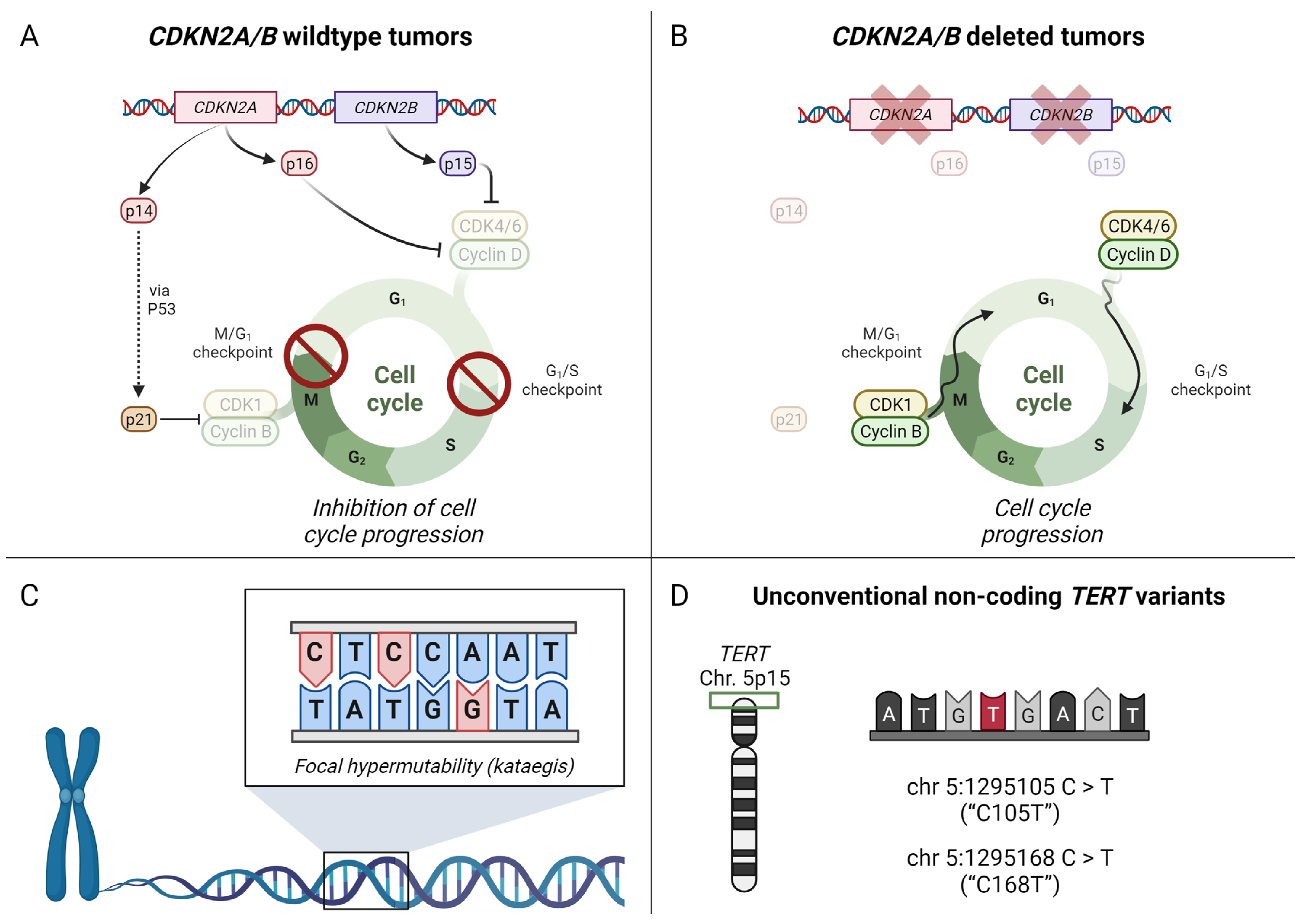Cancers 15 04621 g001