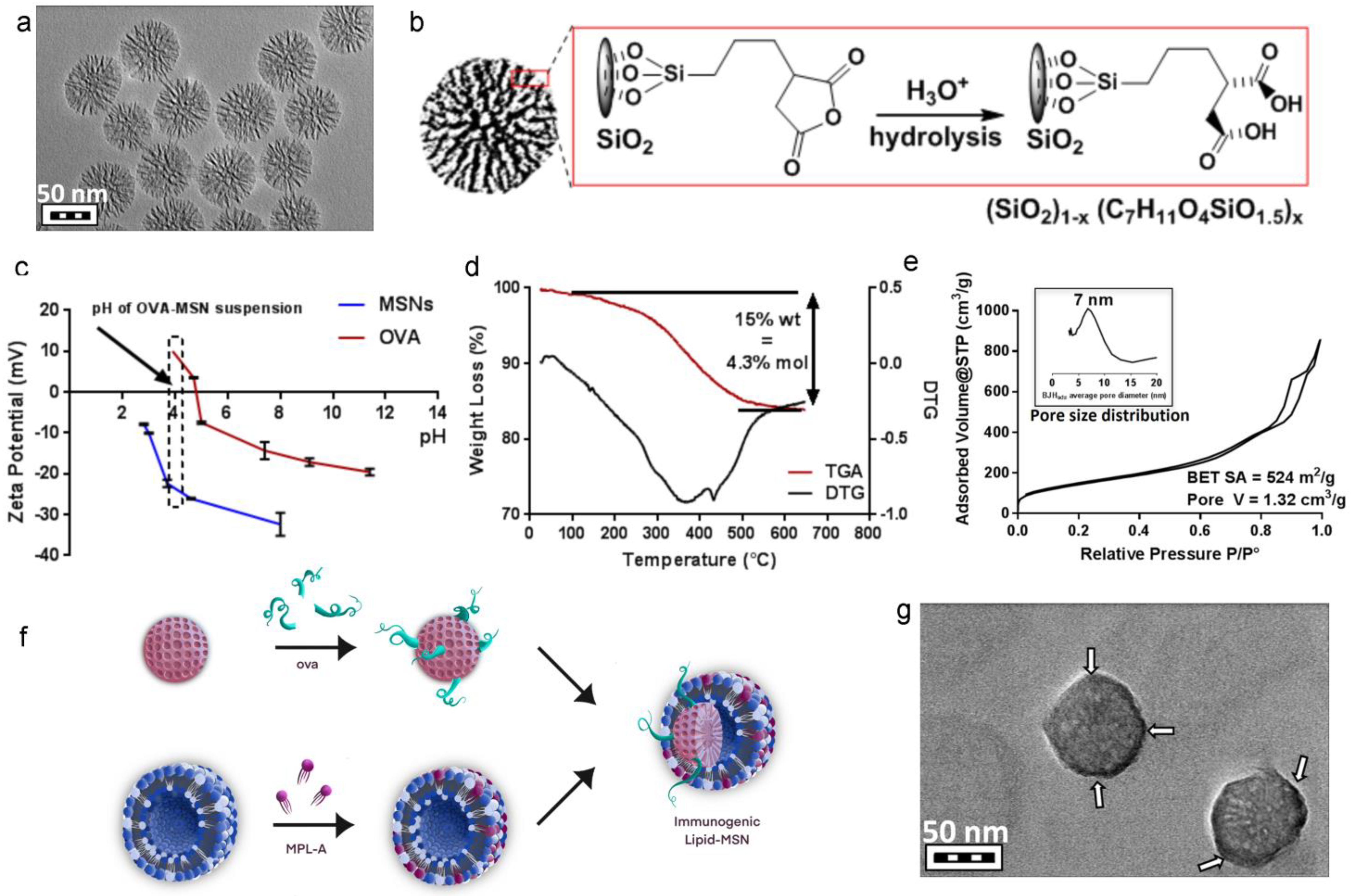 Cancers 15 04626 g001