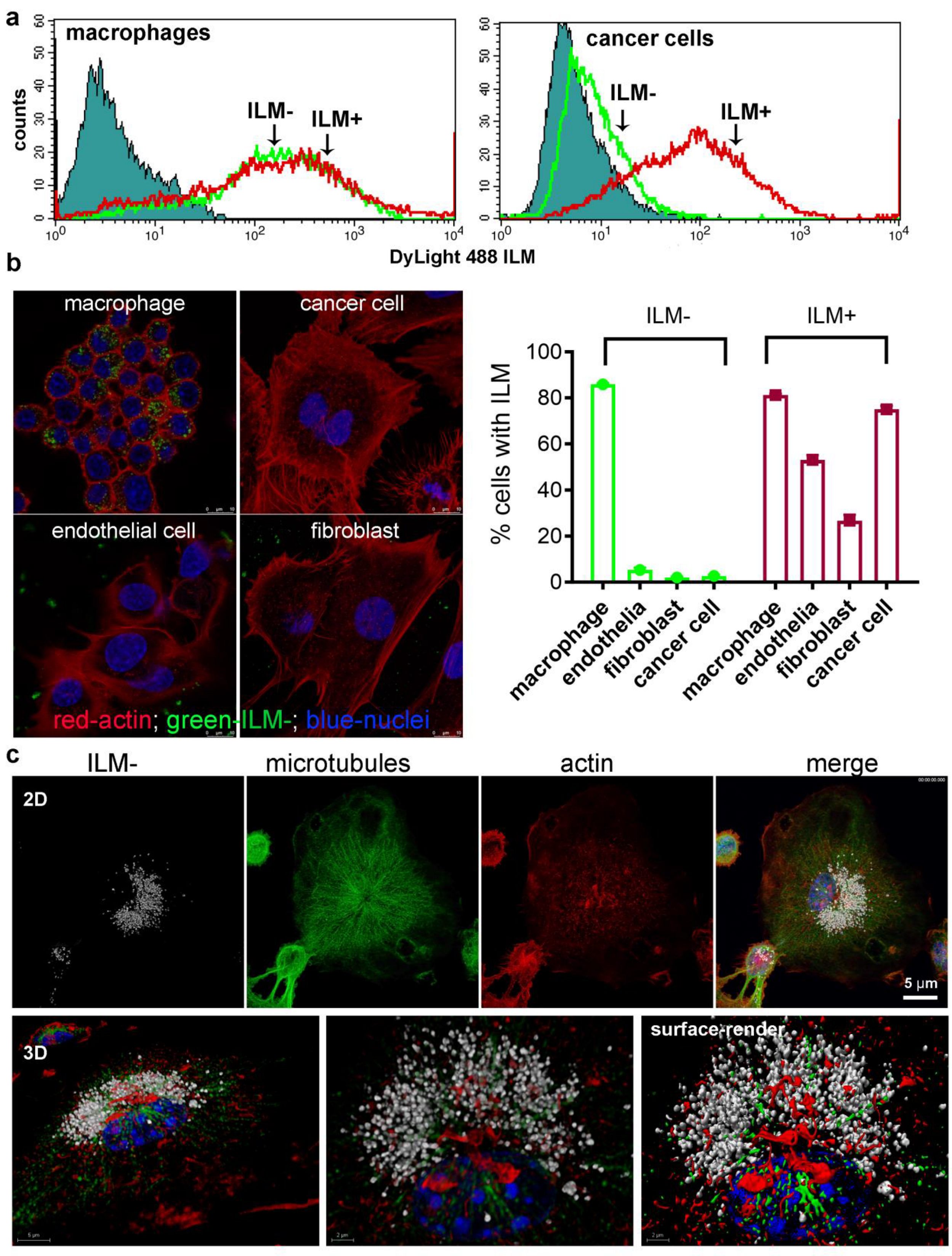 Cancers 15 04626 g003
