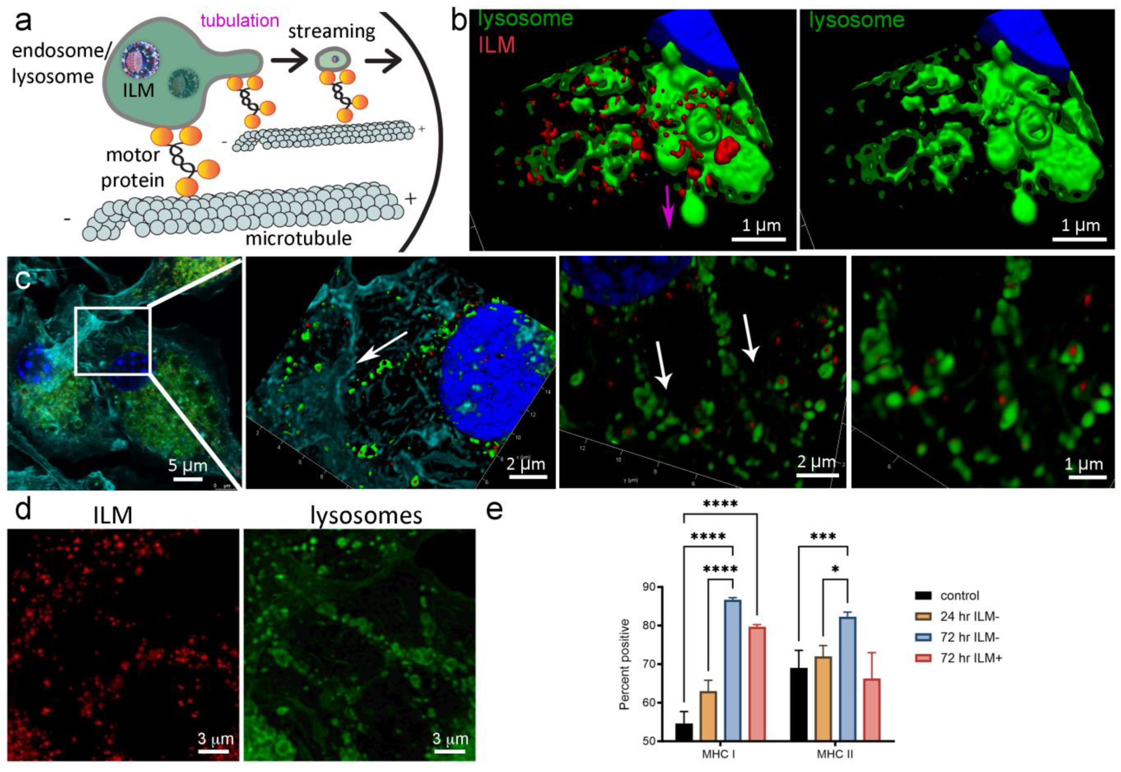 Cancers 15 04626 g004