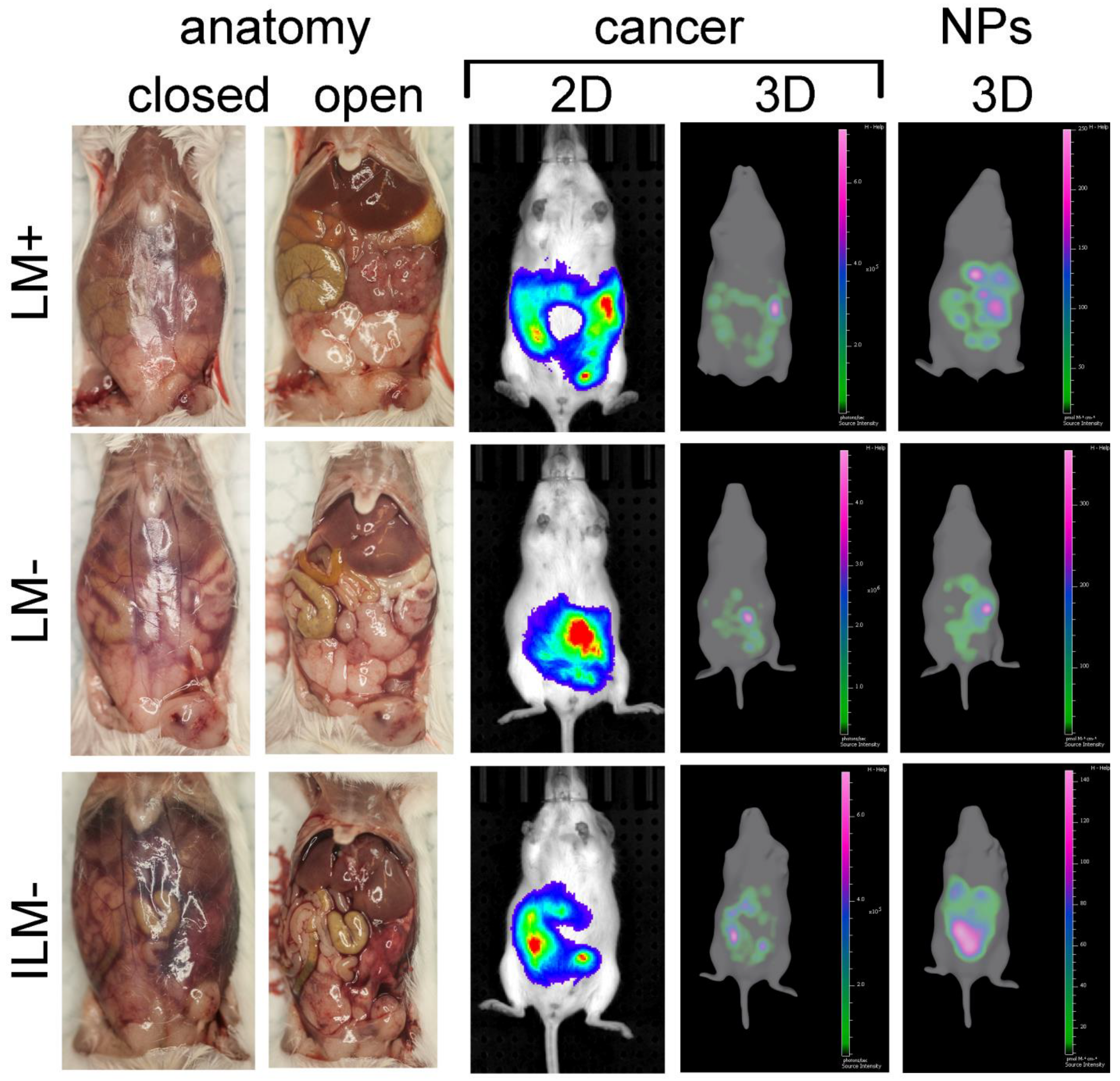 Cancers 15 04626 g005