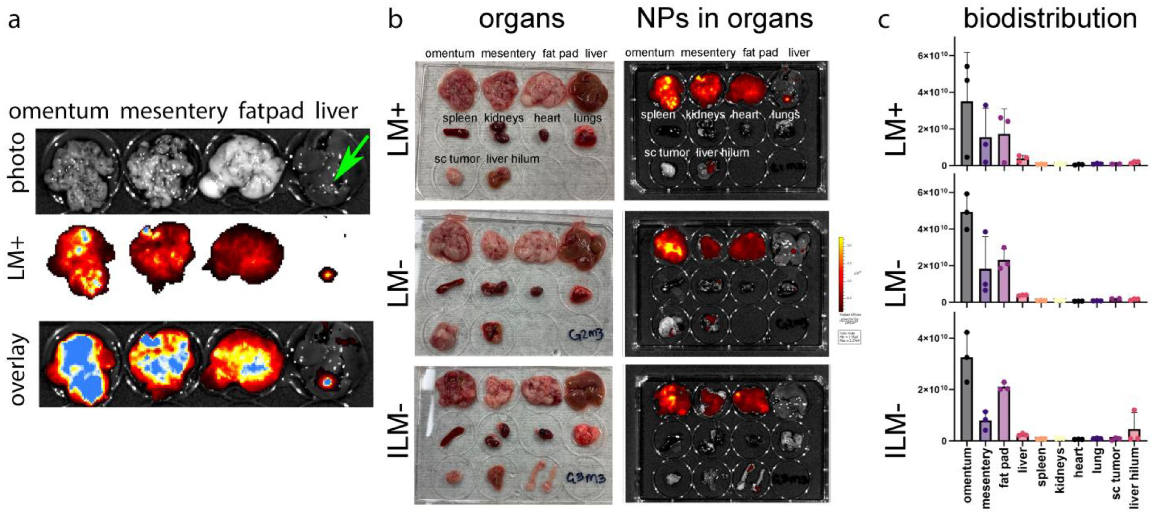 Cancers 15 04626 g006