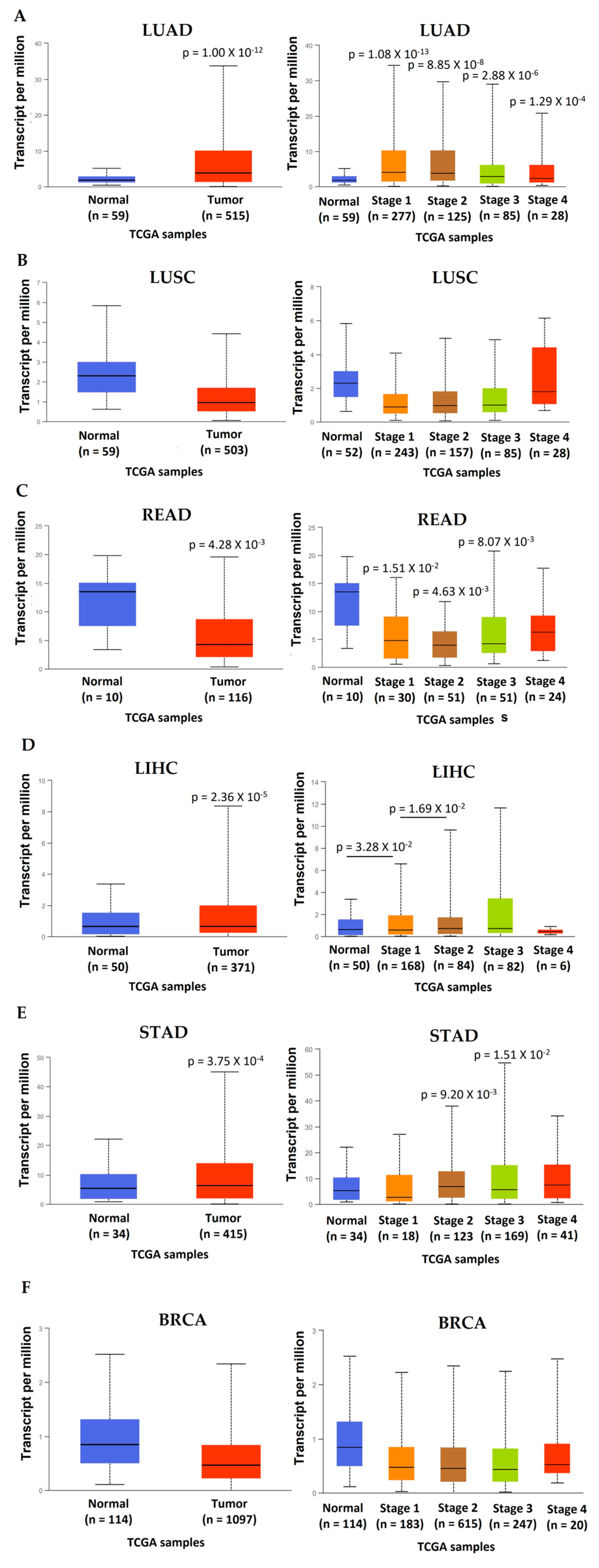 Cancers 15 04629 g006