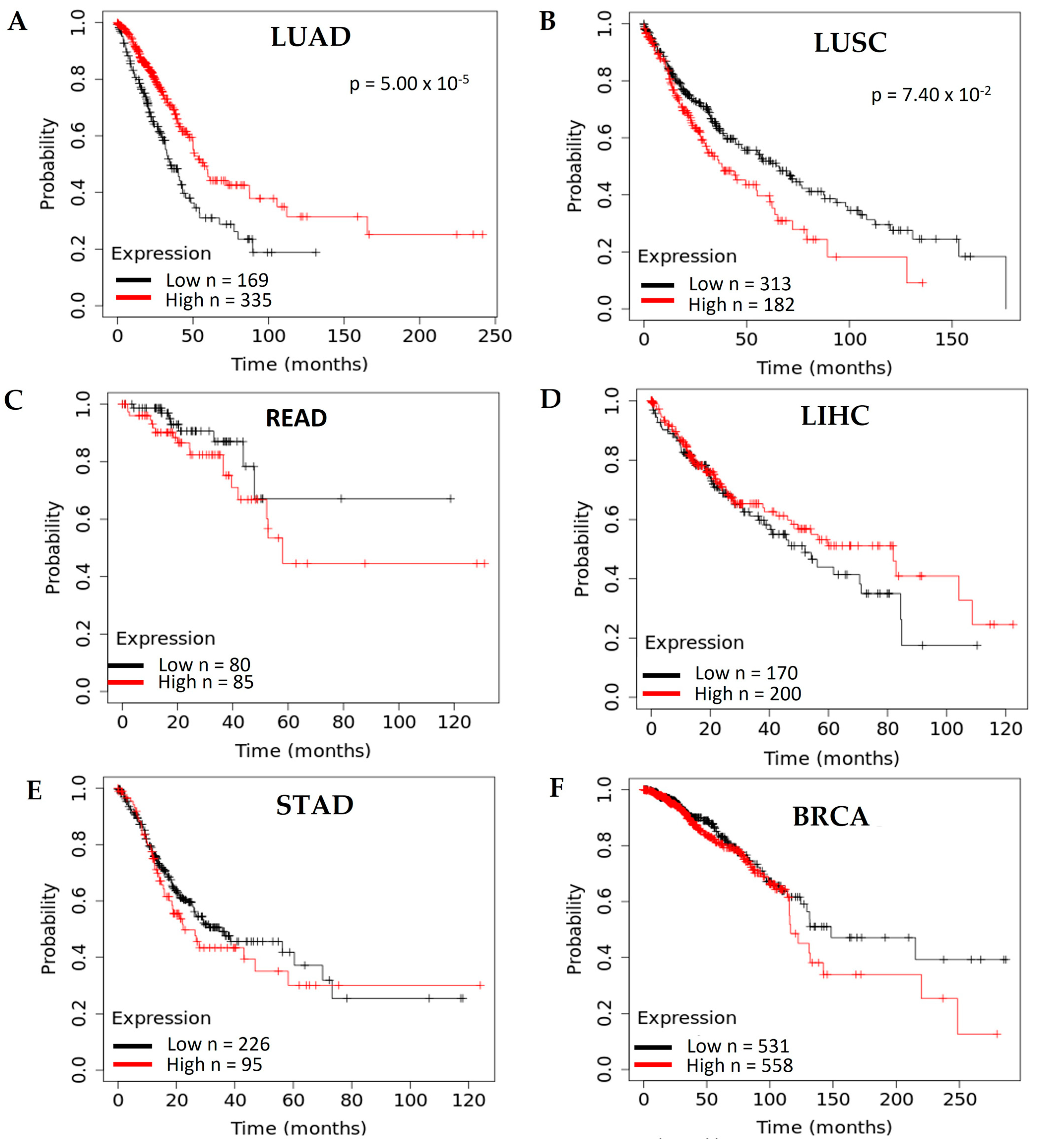 Cancers 15 04629 g007
