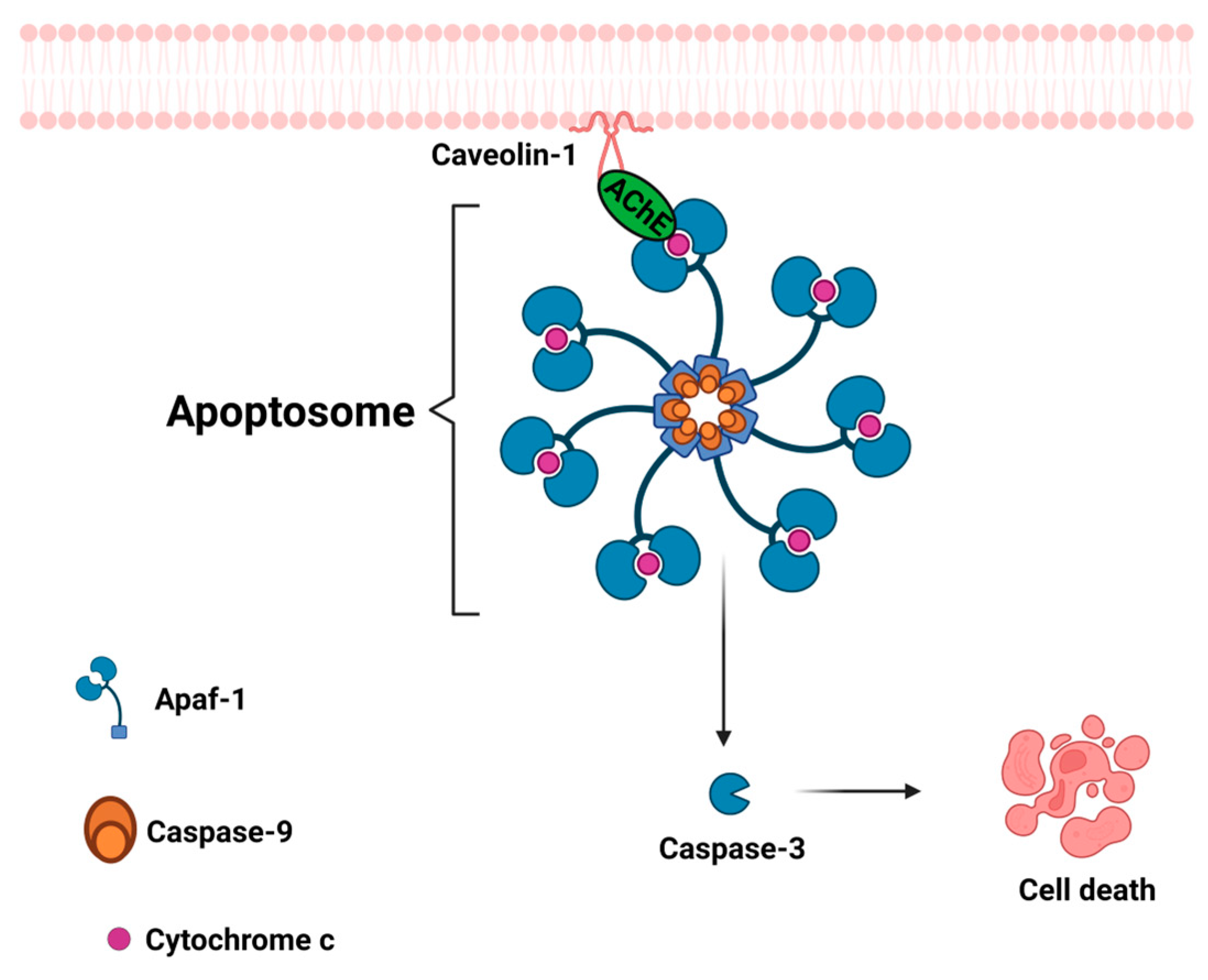 Cancers 15 04629 g008