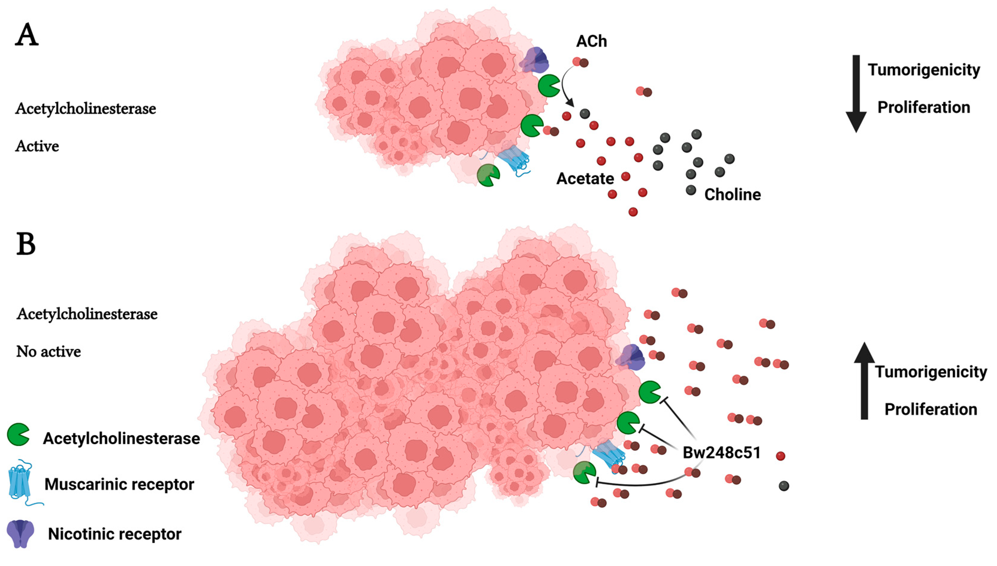 Cancers 15 04629 g009