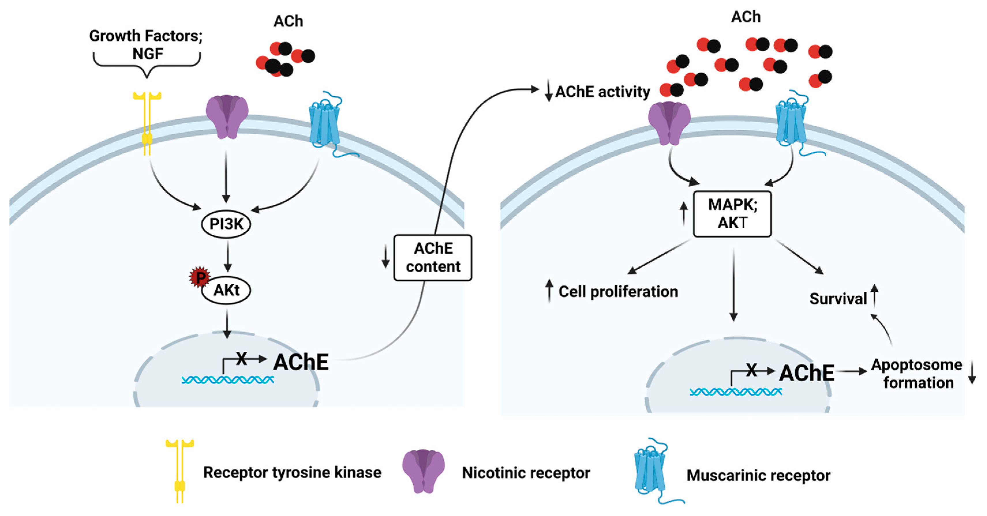Cancers 15 04629 g010