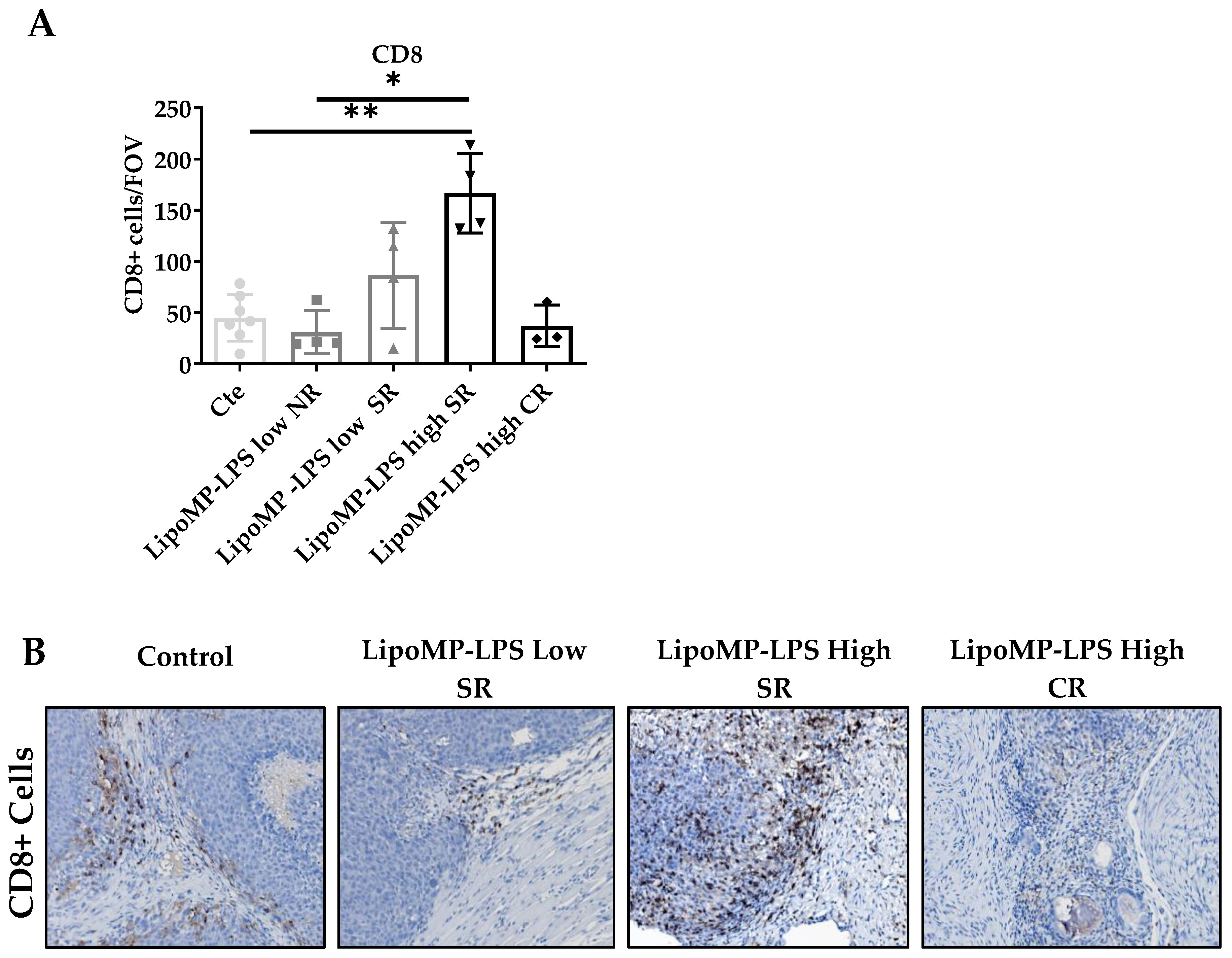 Cancers 15 04635 g003 Cancers 15 04635 g003