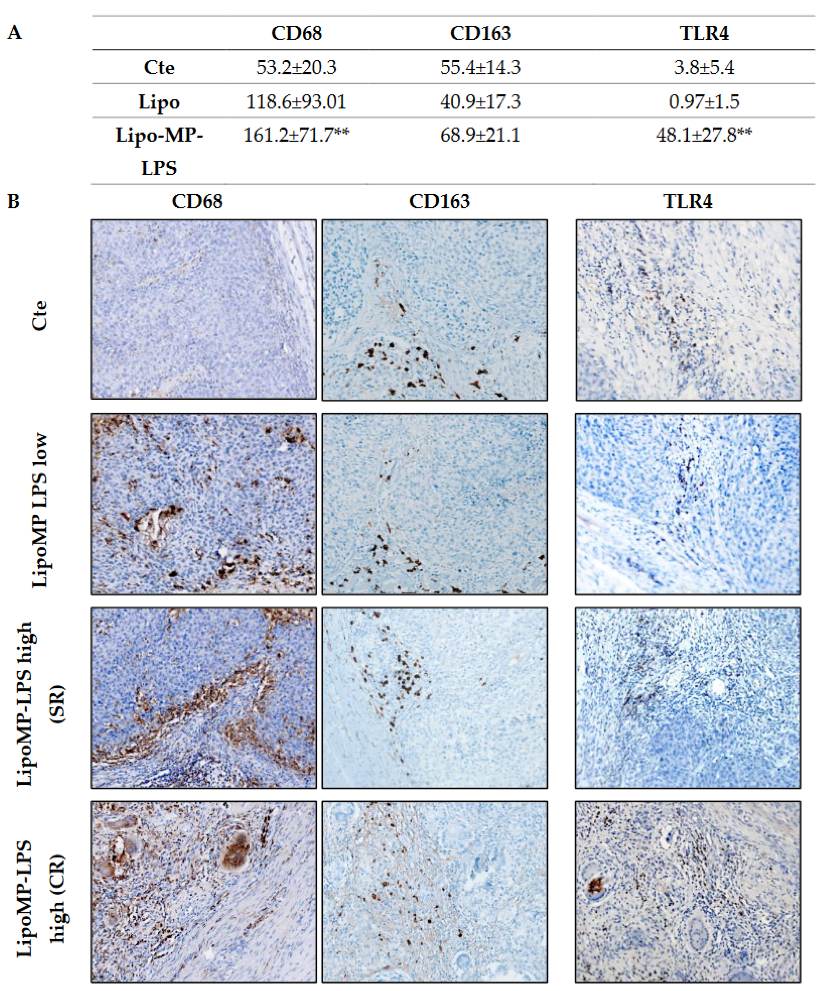 Cancers 15 04635 g004 Cancers 15 04635 g004