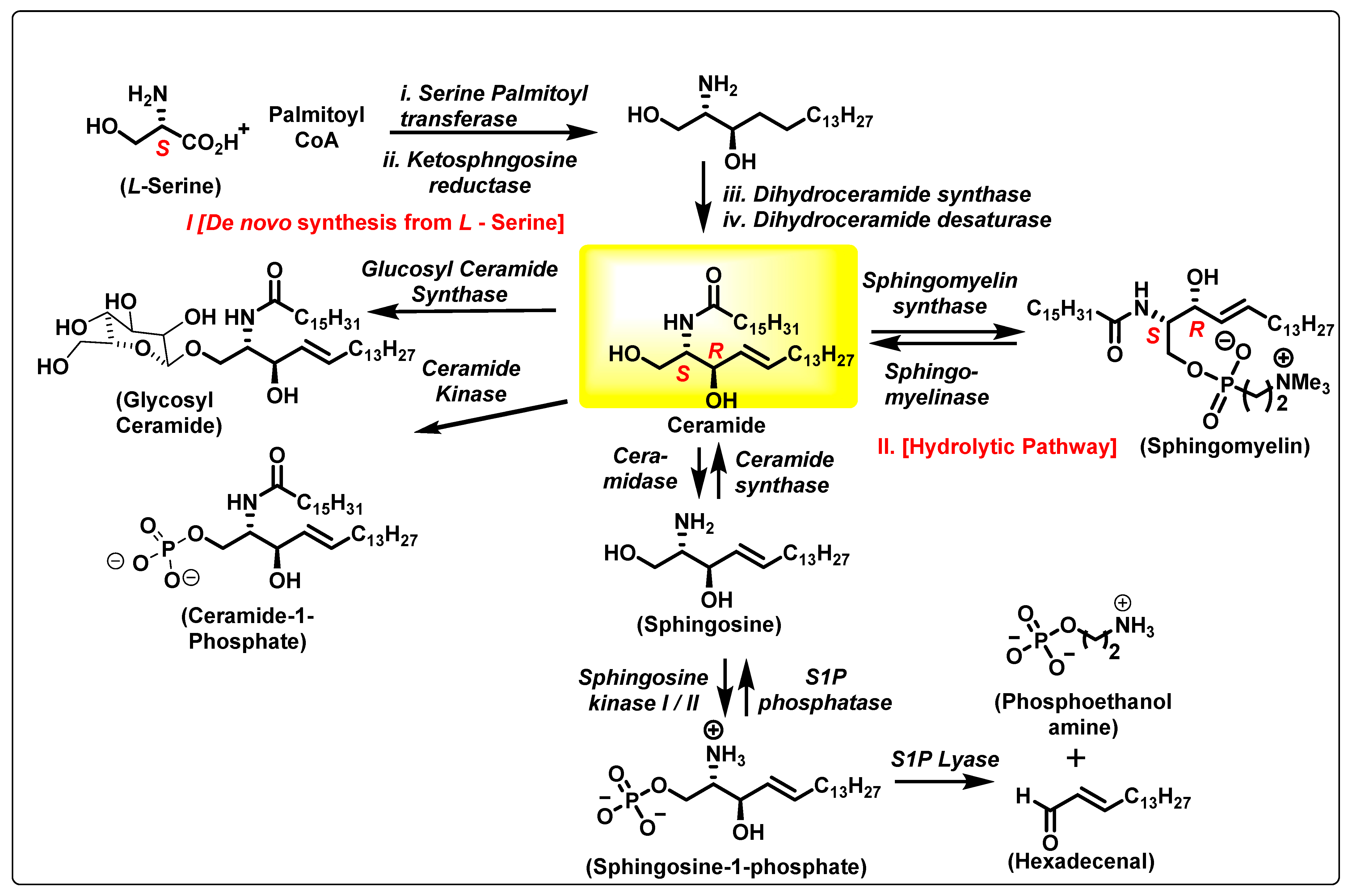 Cancers 15 04645 g001