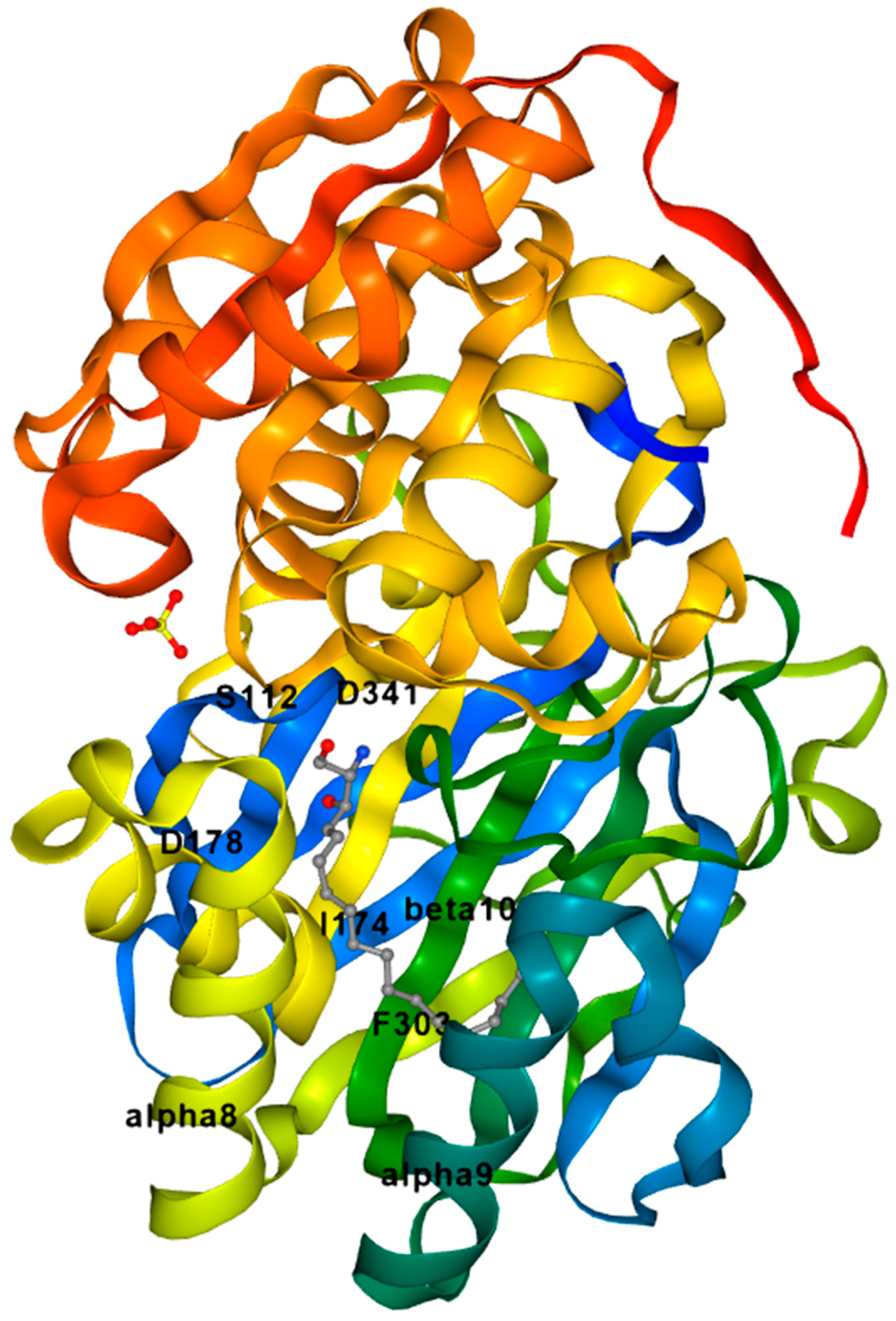 Cancers 15 04645 g004