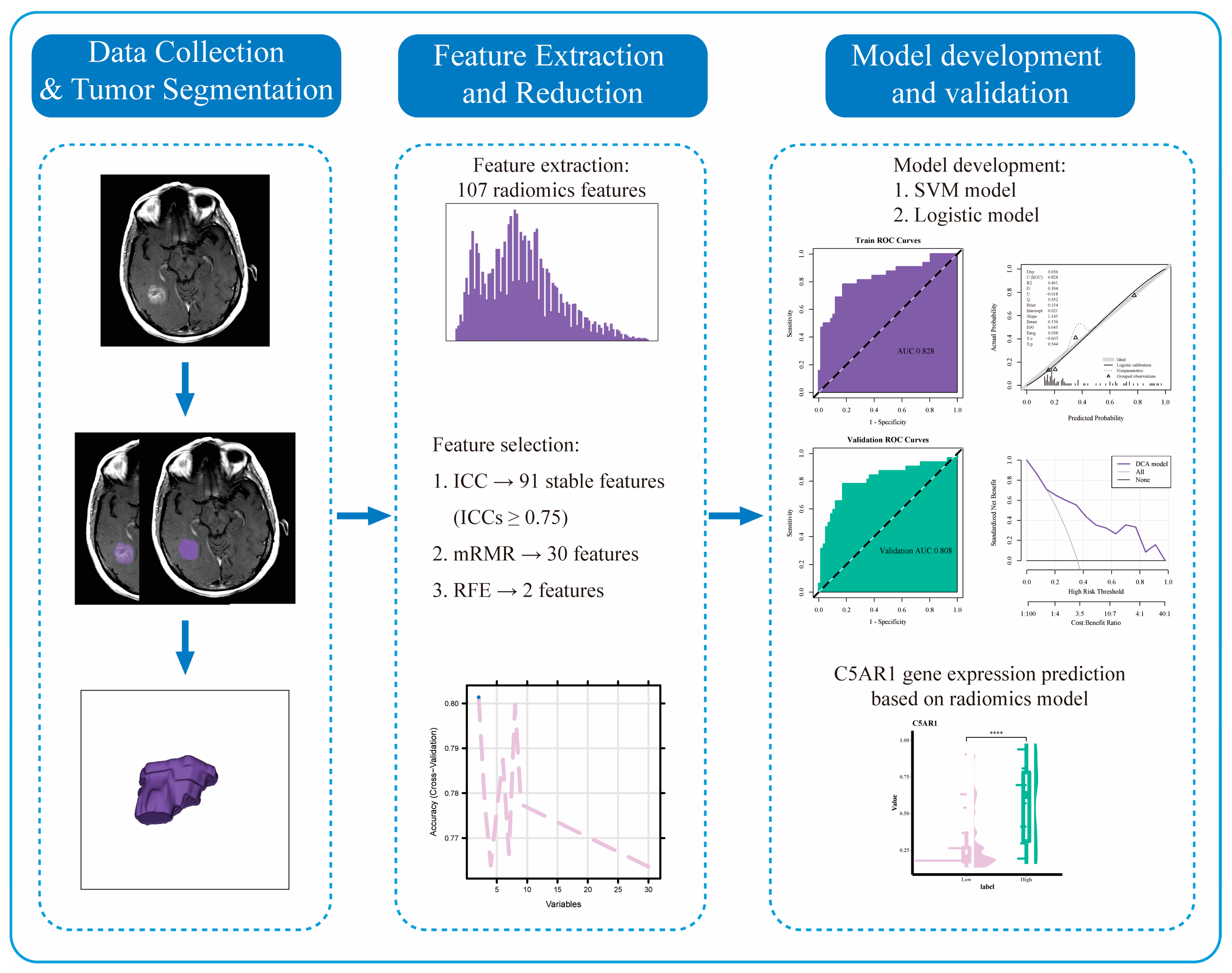 Cancers 15 04661 g001