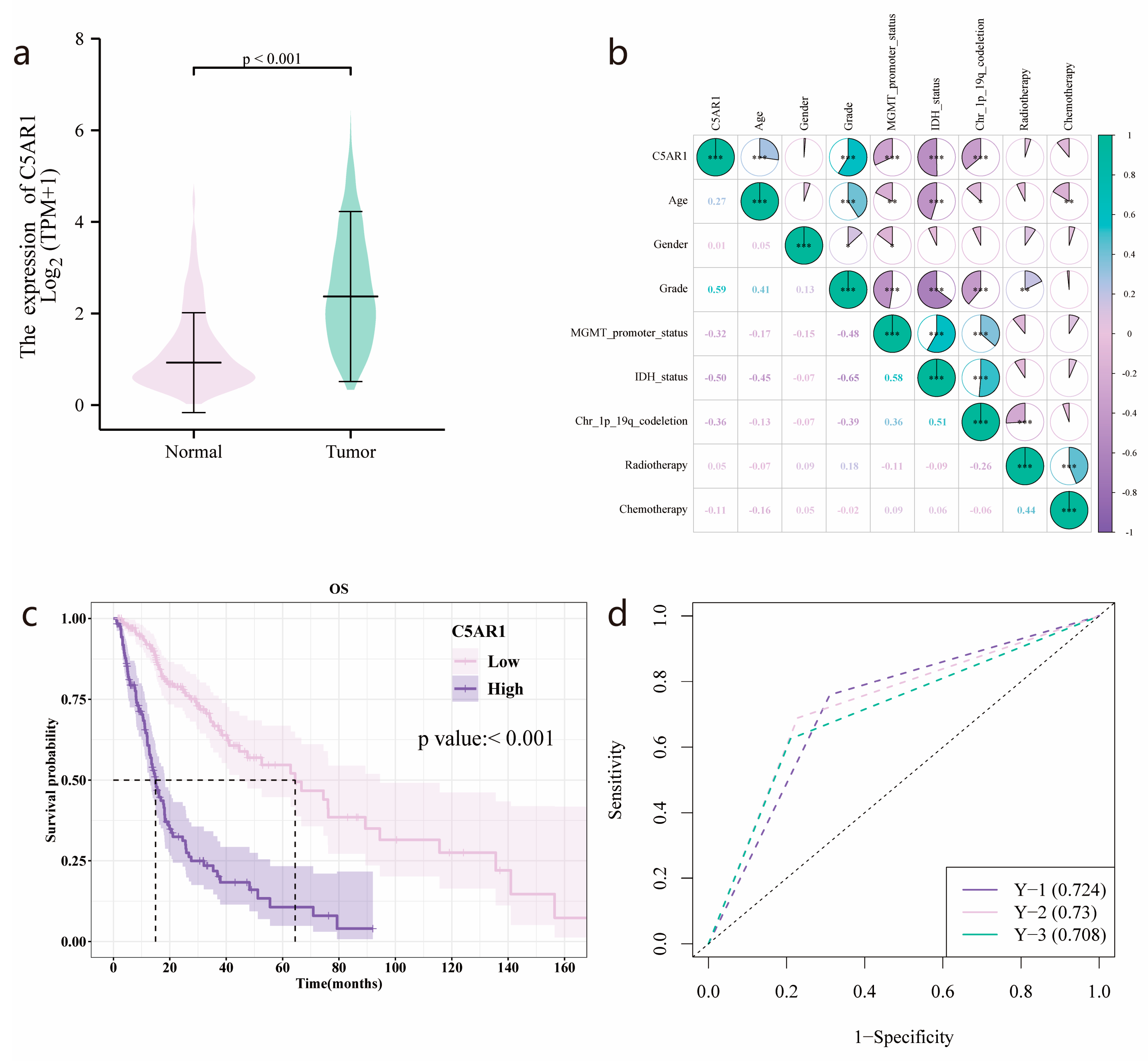 Cancers 15 04661 g002
