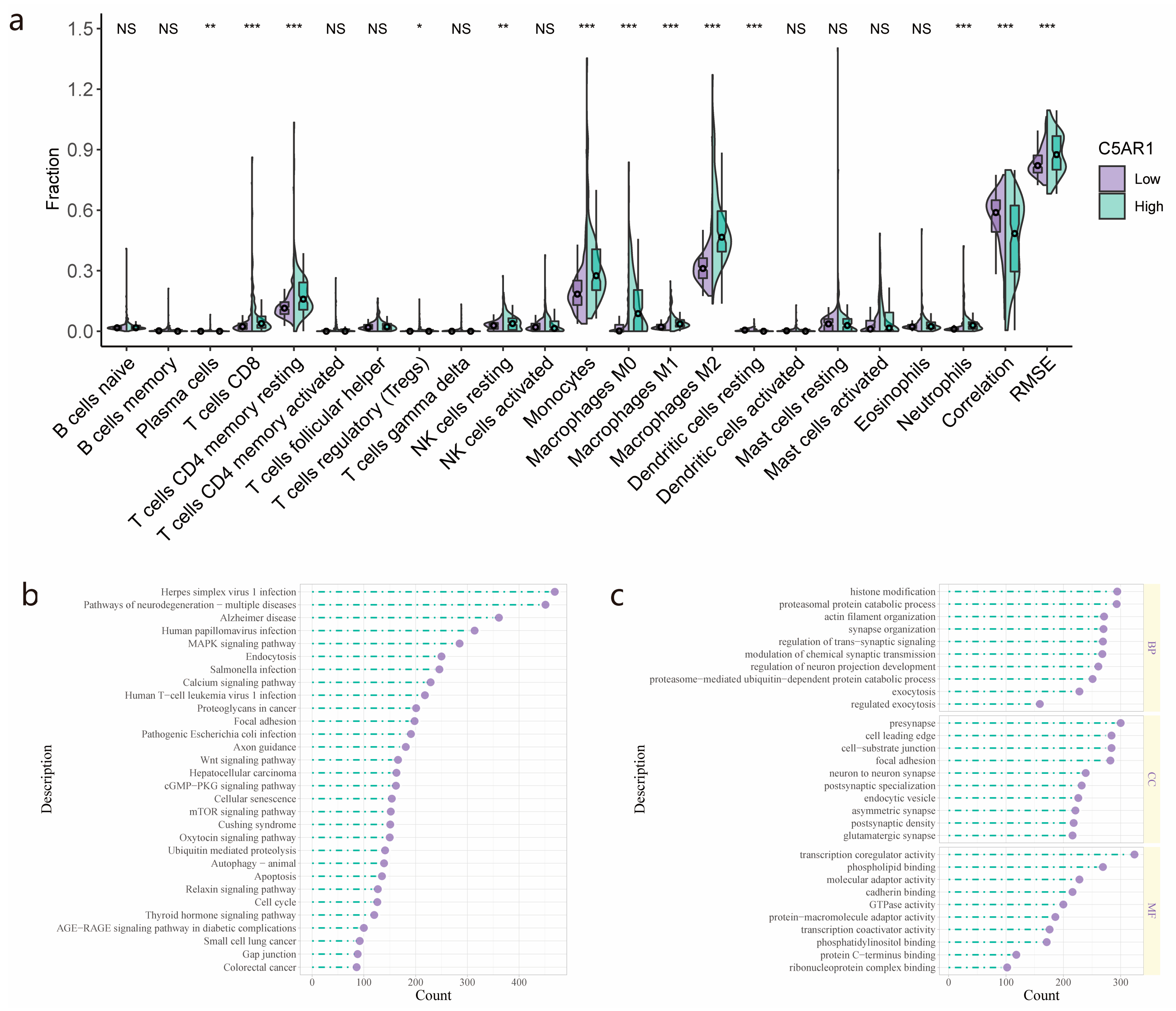 Cancers 15 04661 g004