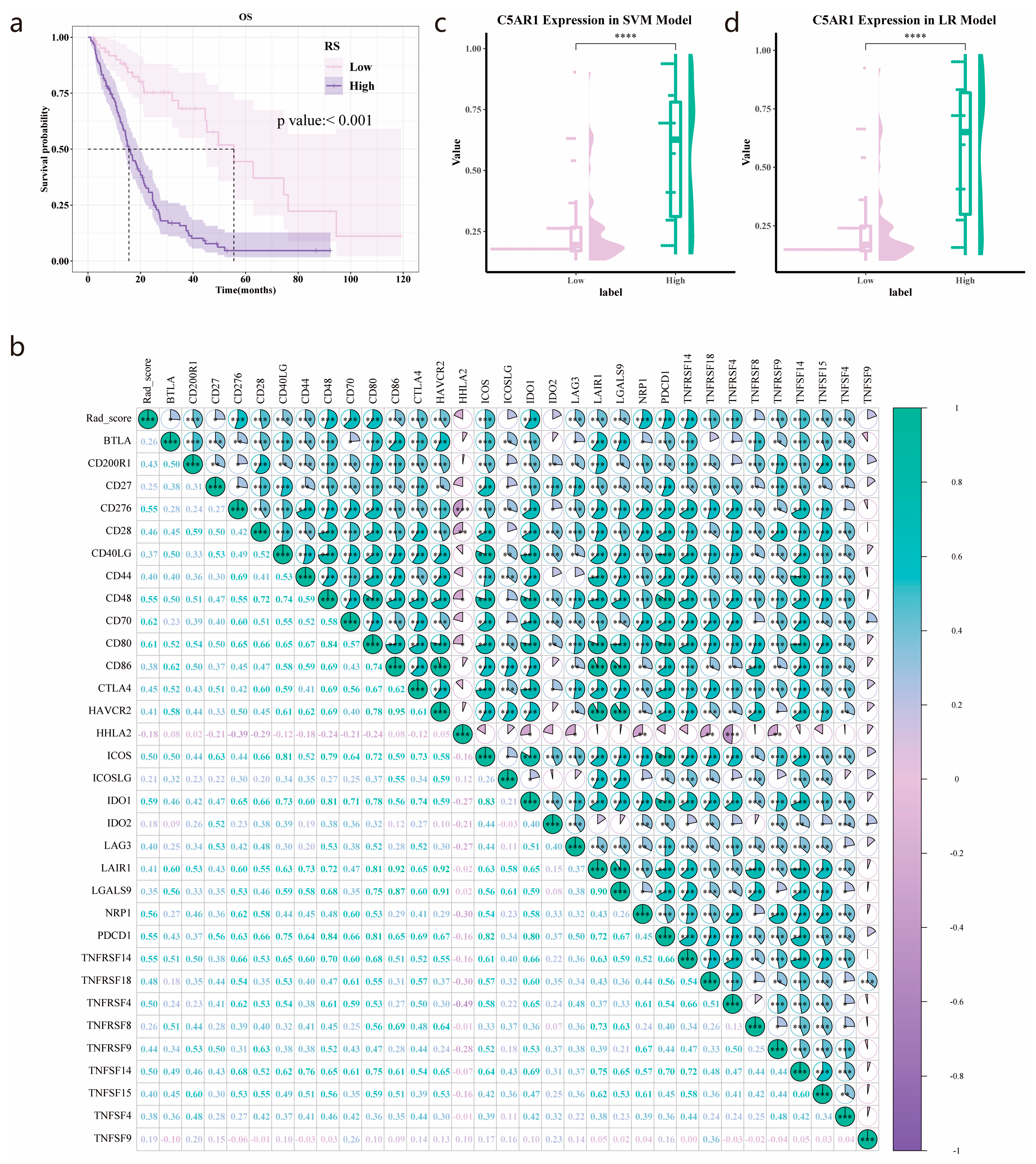 Cancers 15 04661 g006