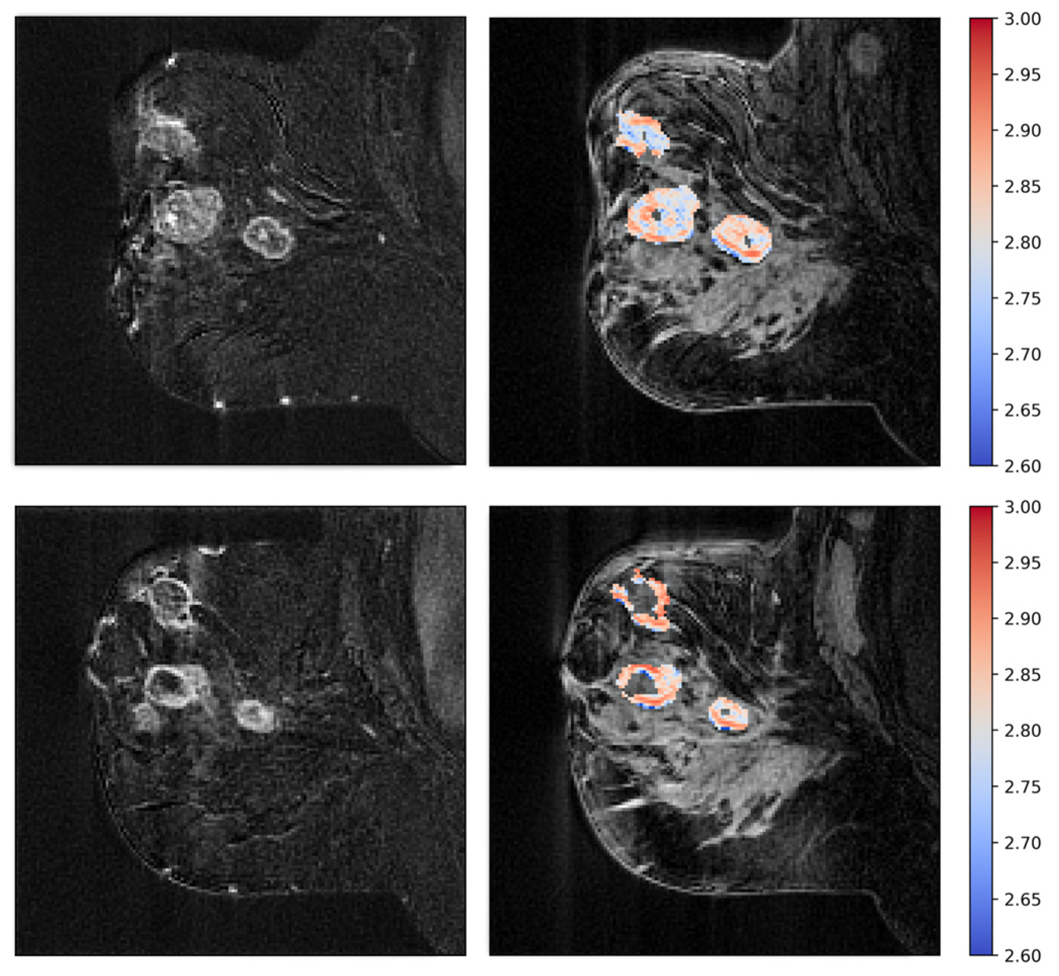 Cancers 15 04662 g006 Cancers 15 04662 g006