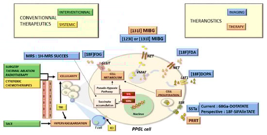 Cancers 15 04666 g0a1