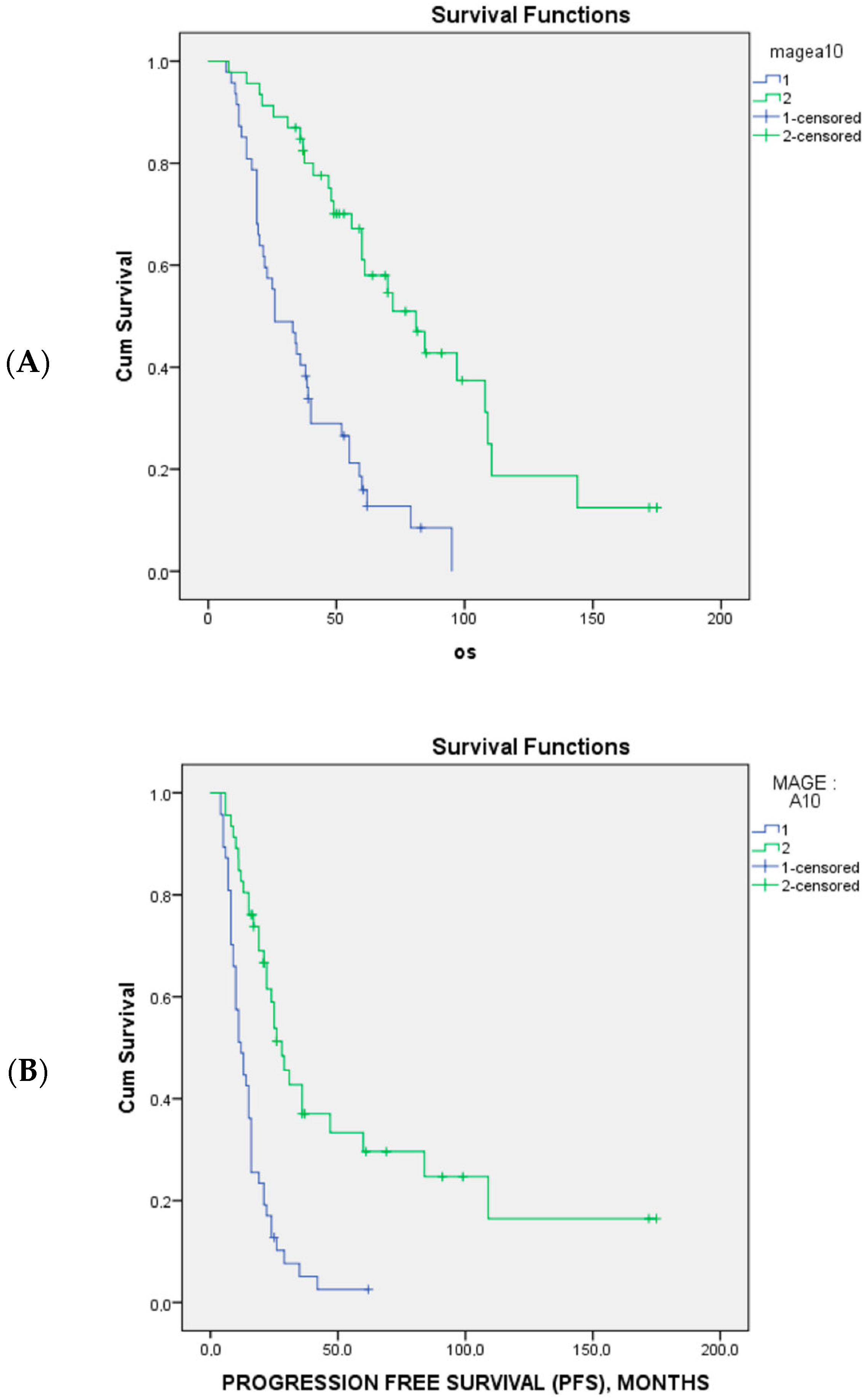 Cancers 15 04697 g002