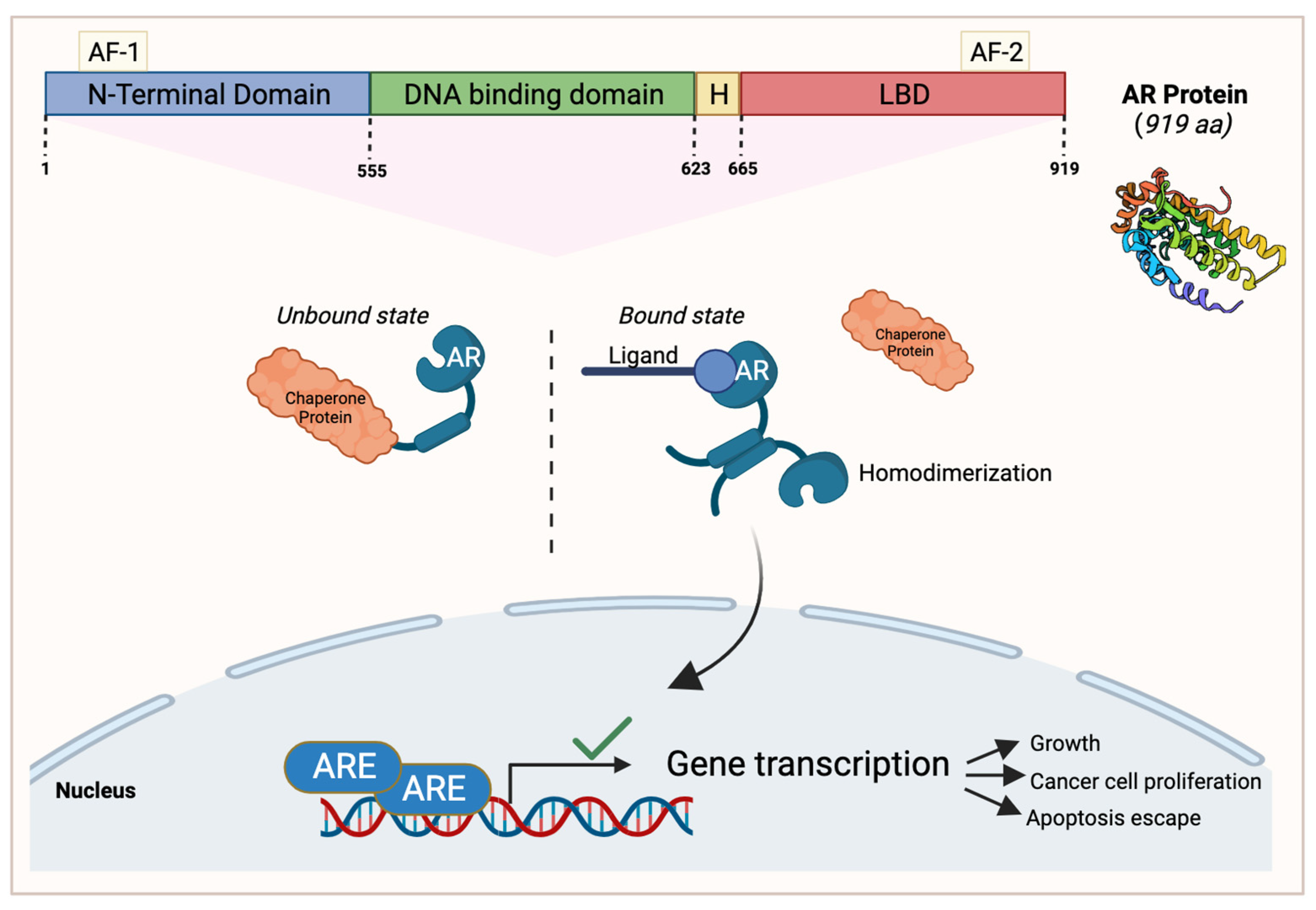 Cancers 15 04702 g003