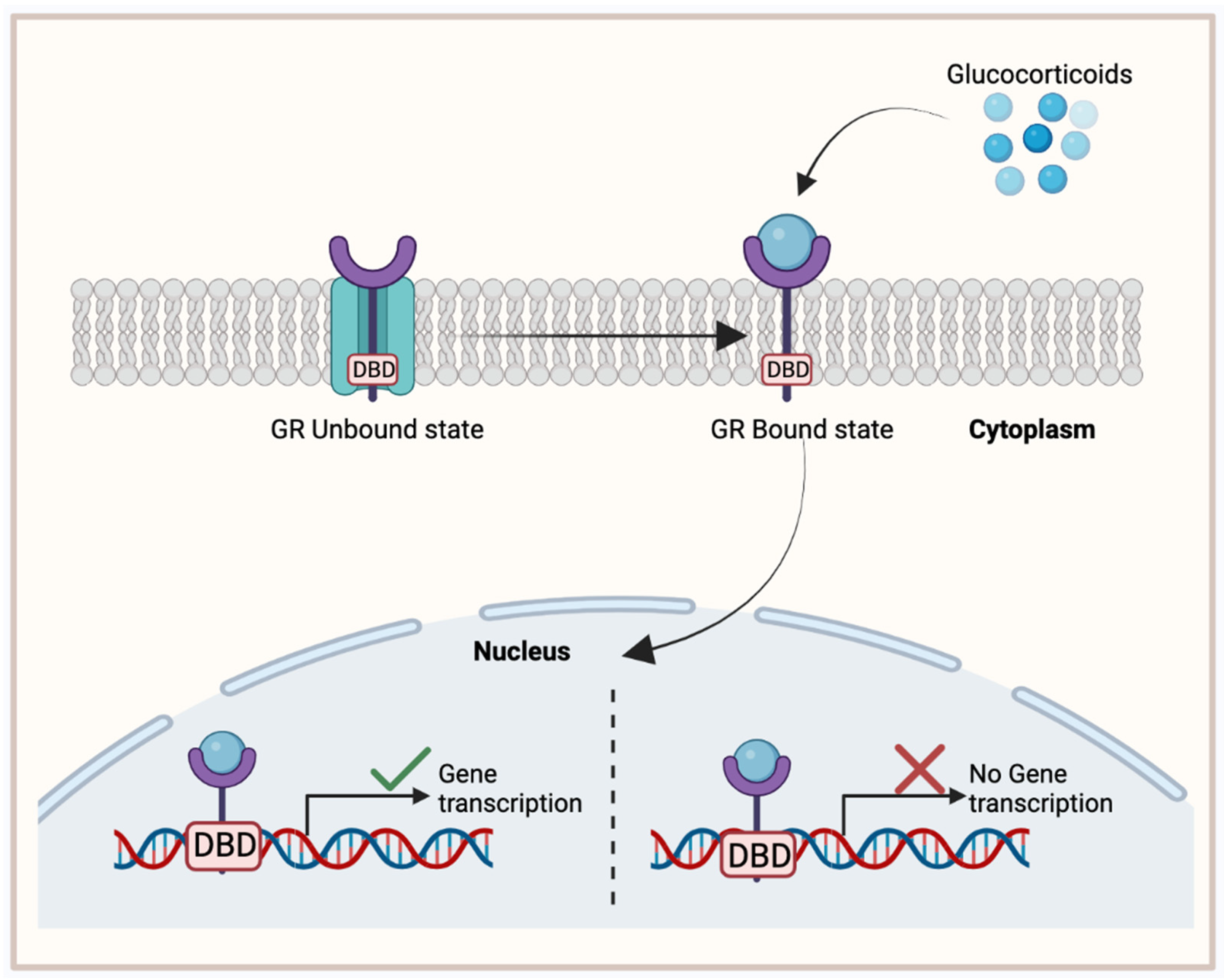 Cancers 15 04702 g004