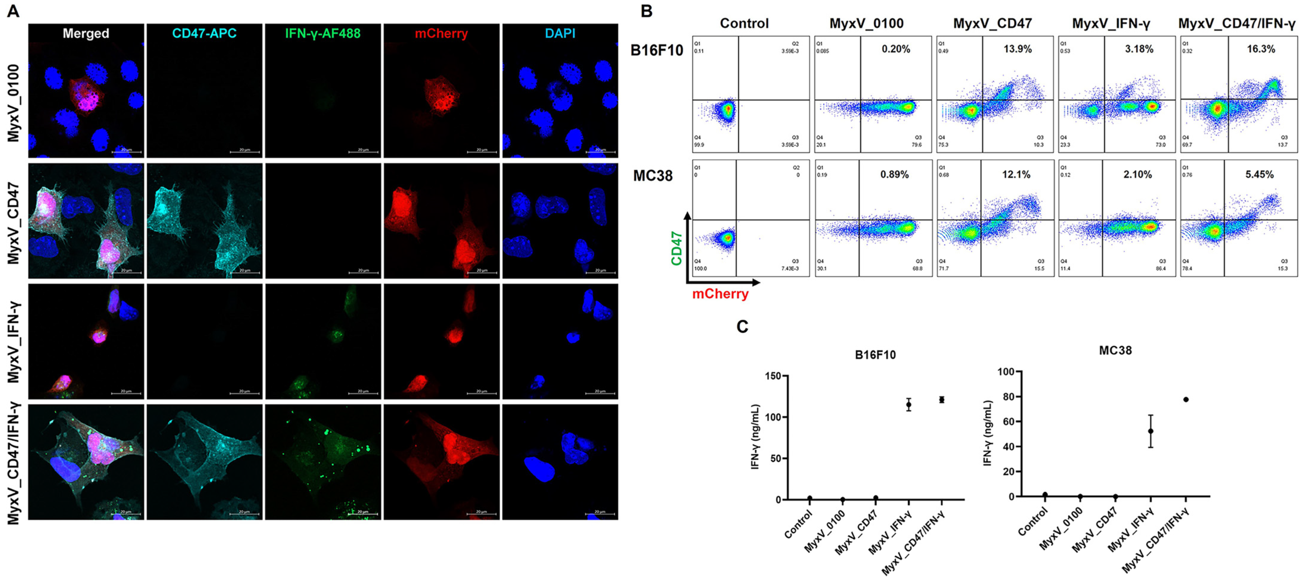 Cancers 15 04703 g002