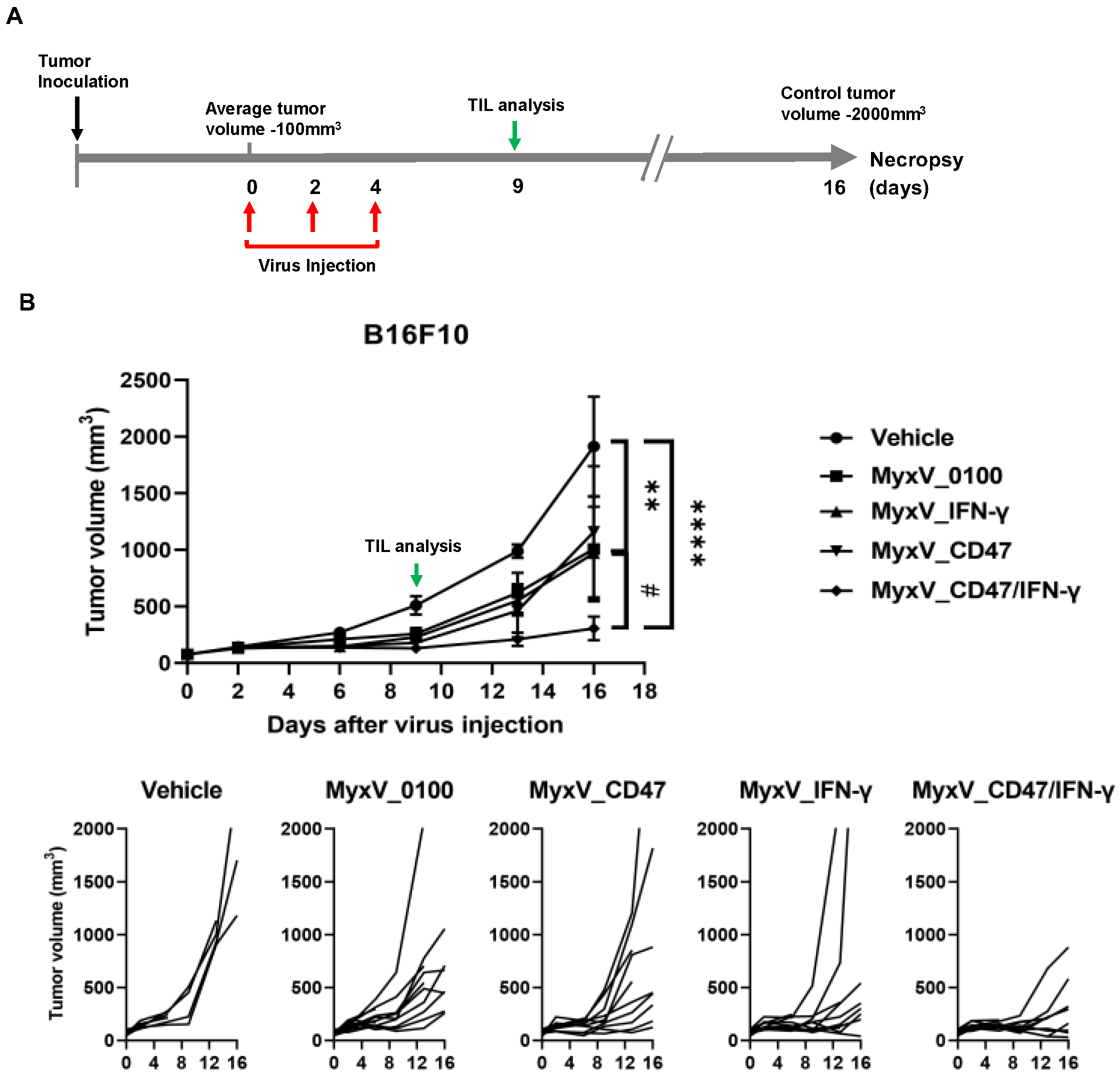 Cancers 15 04703 g003
