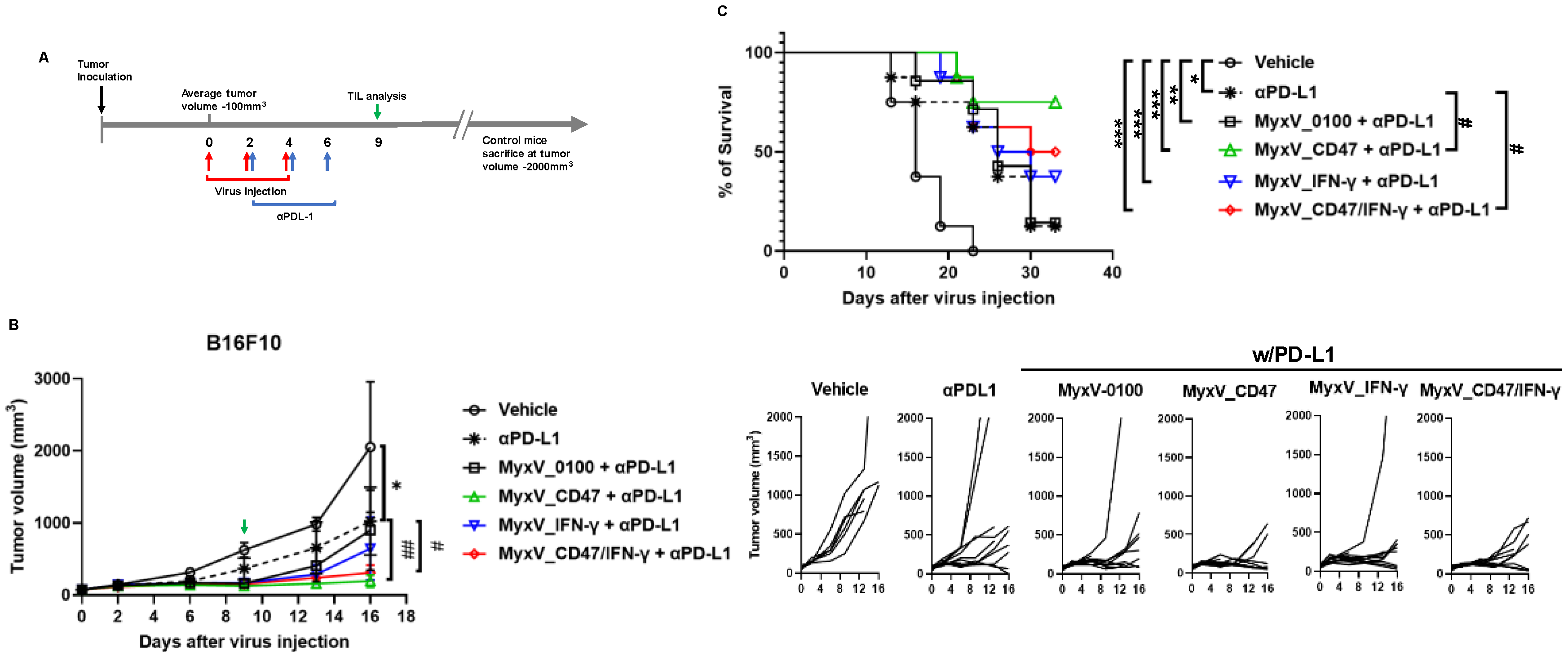 Cancers 15 04703 g005