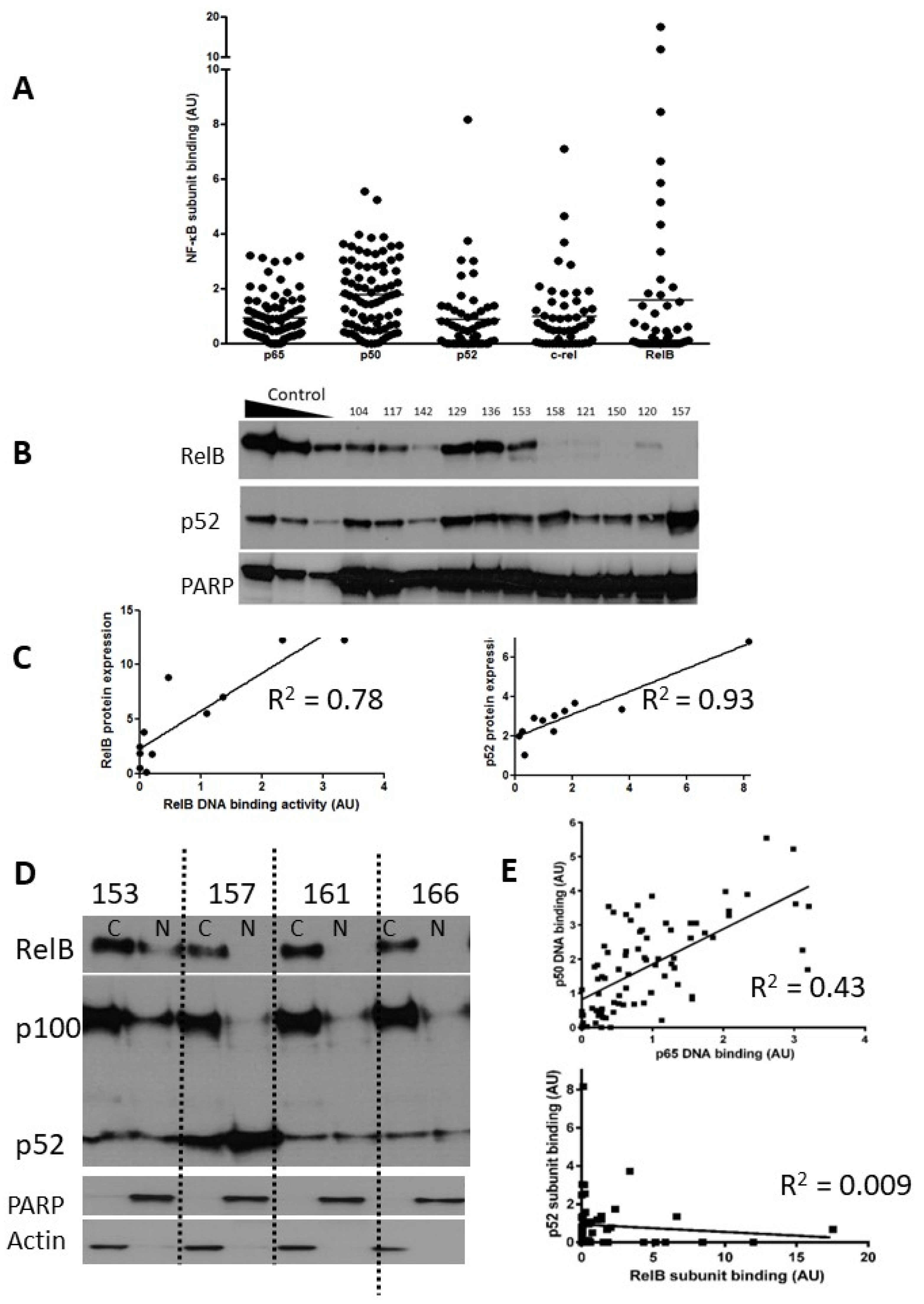 Cancers 15 04736 g001