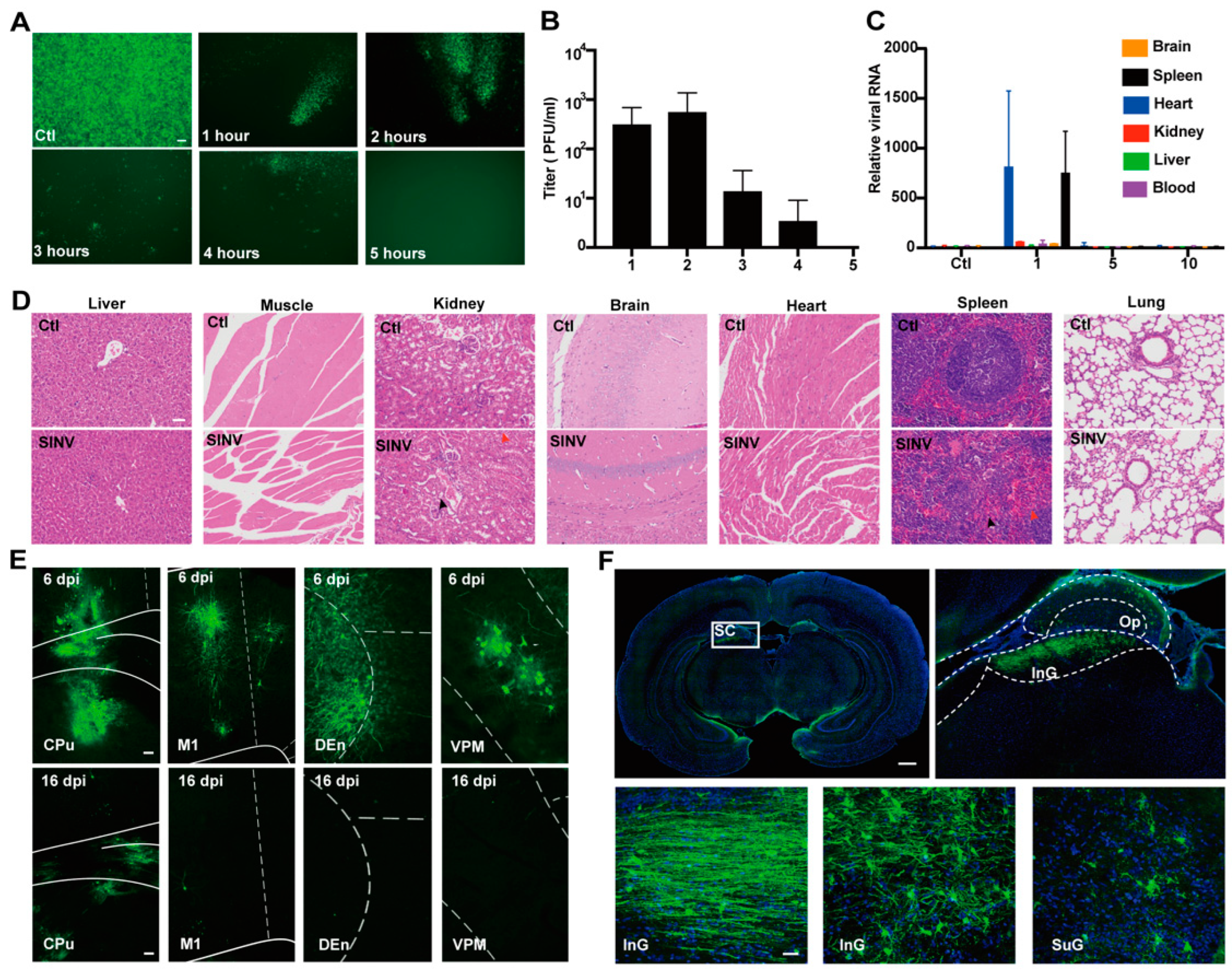 Cancers 15 04738 g001