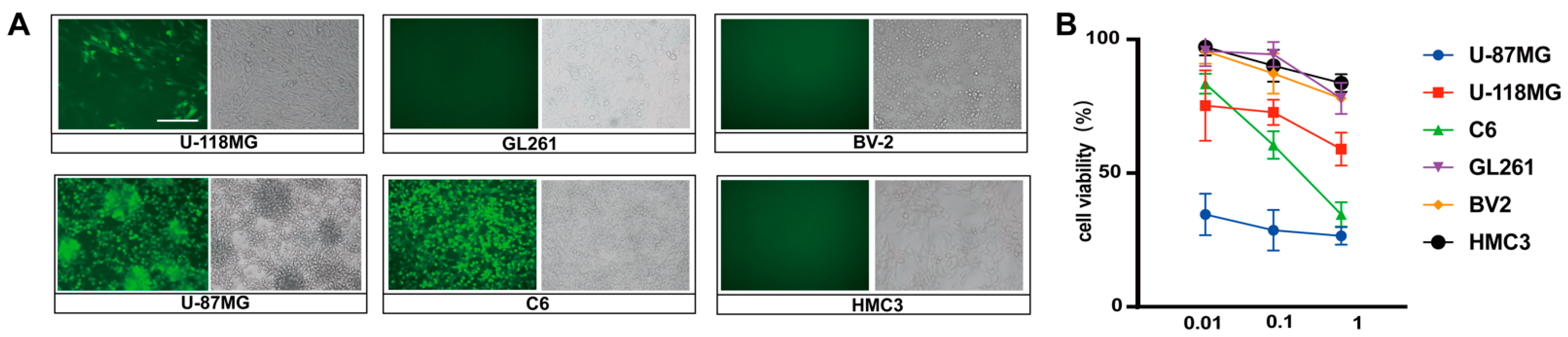 Cancers 15 04738 g002