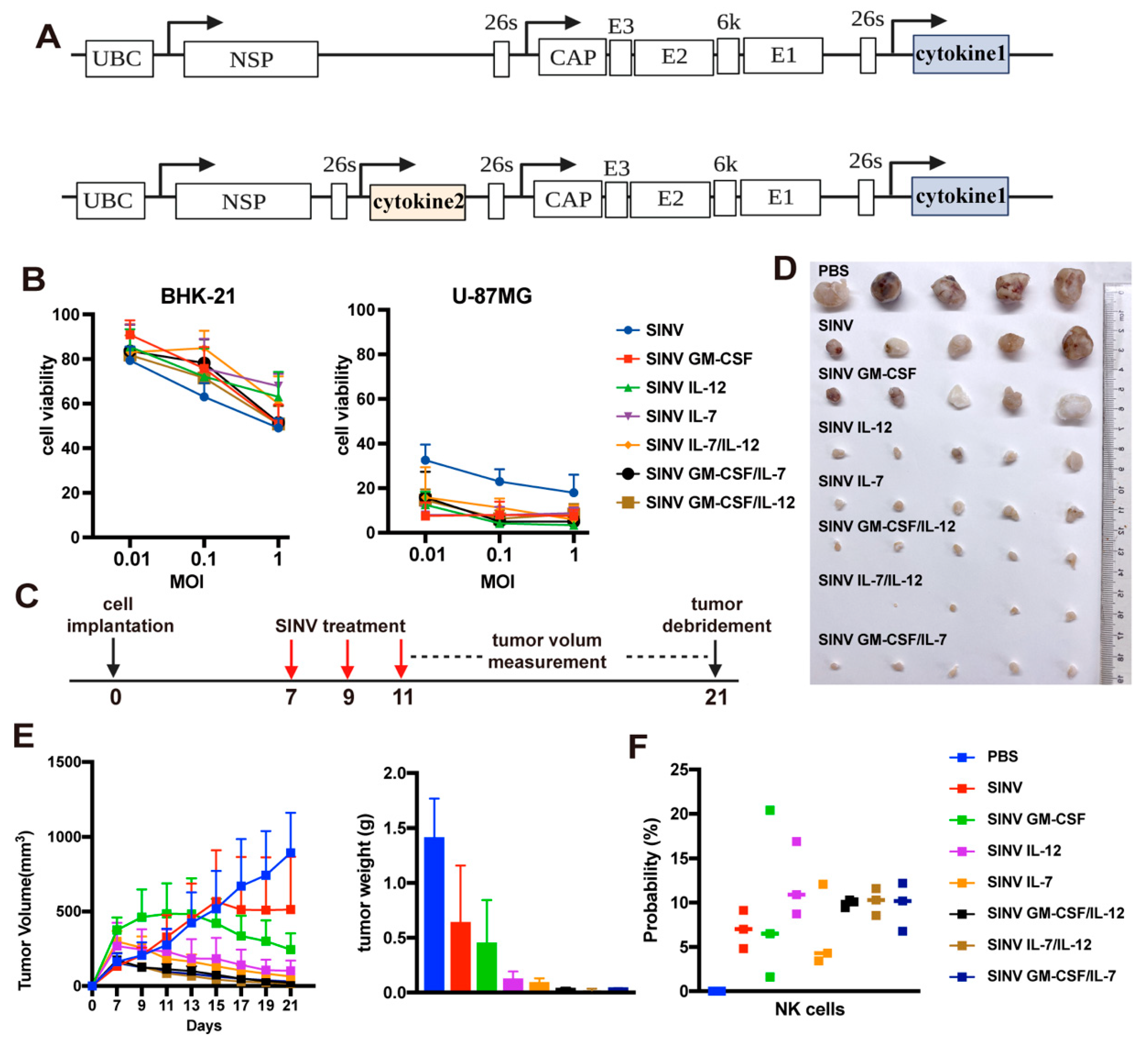 Cancers 15 04738 g004