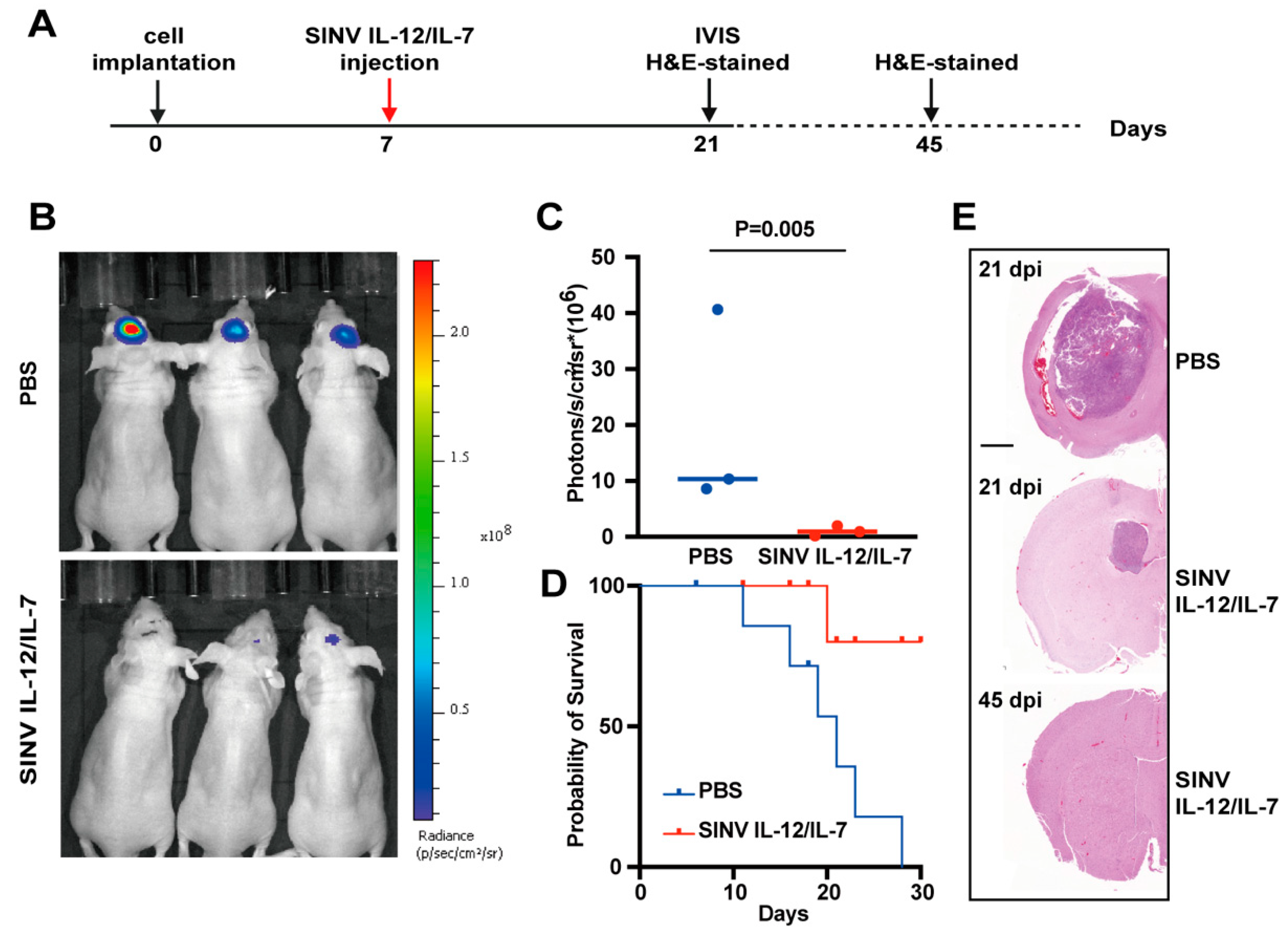 Cancers 15 04738 g005