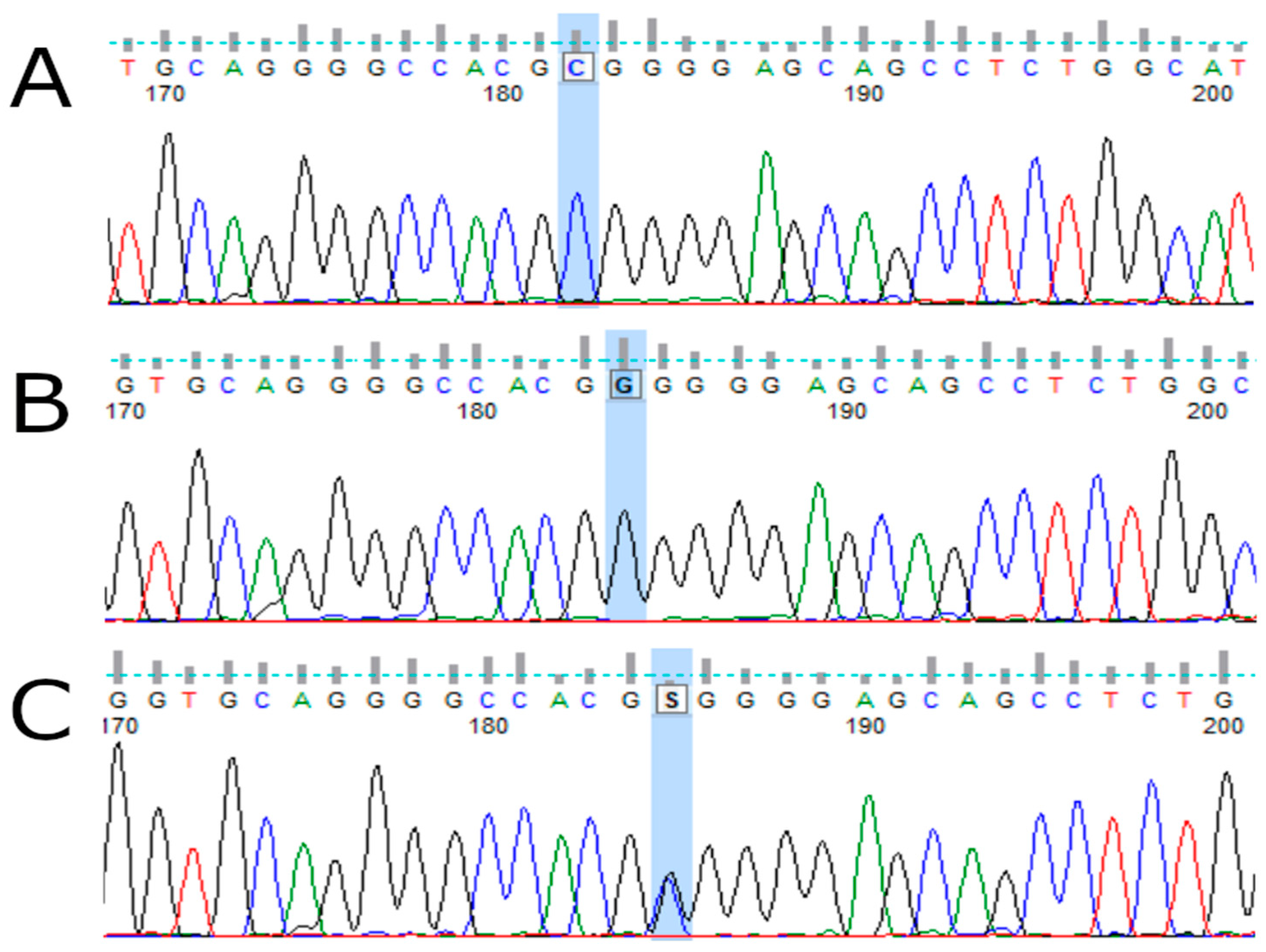 Cancers 15 04747 g001