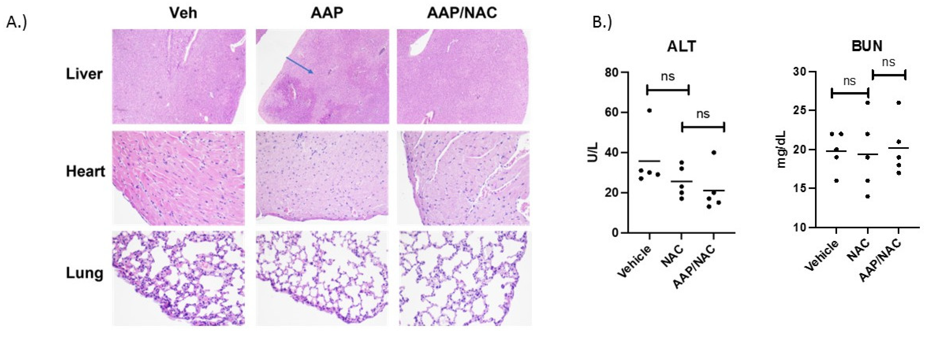 Cancers 15 04770 g001