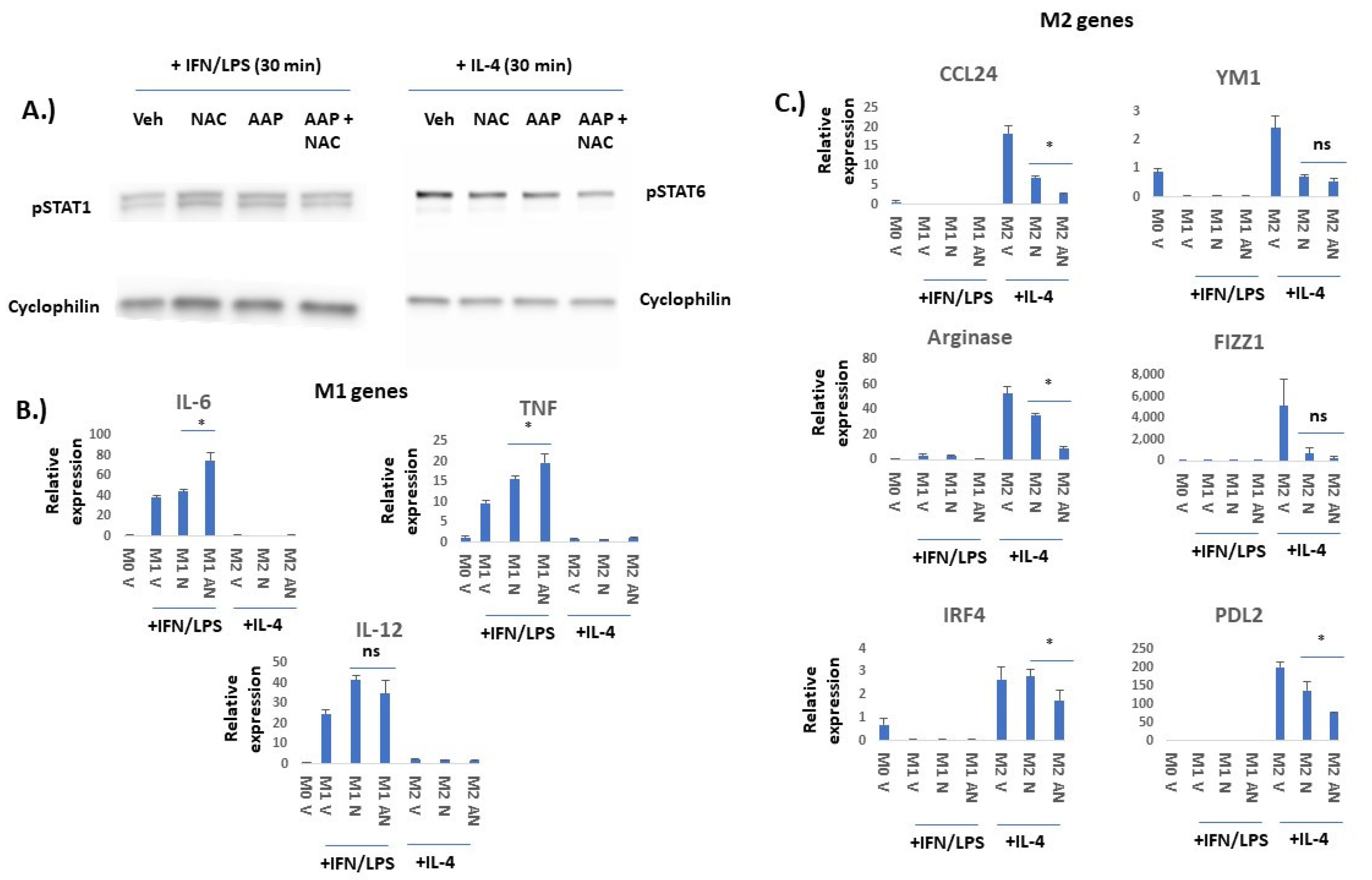 Cancers 15 04770 g002