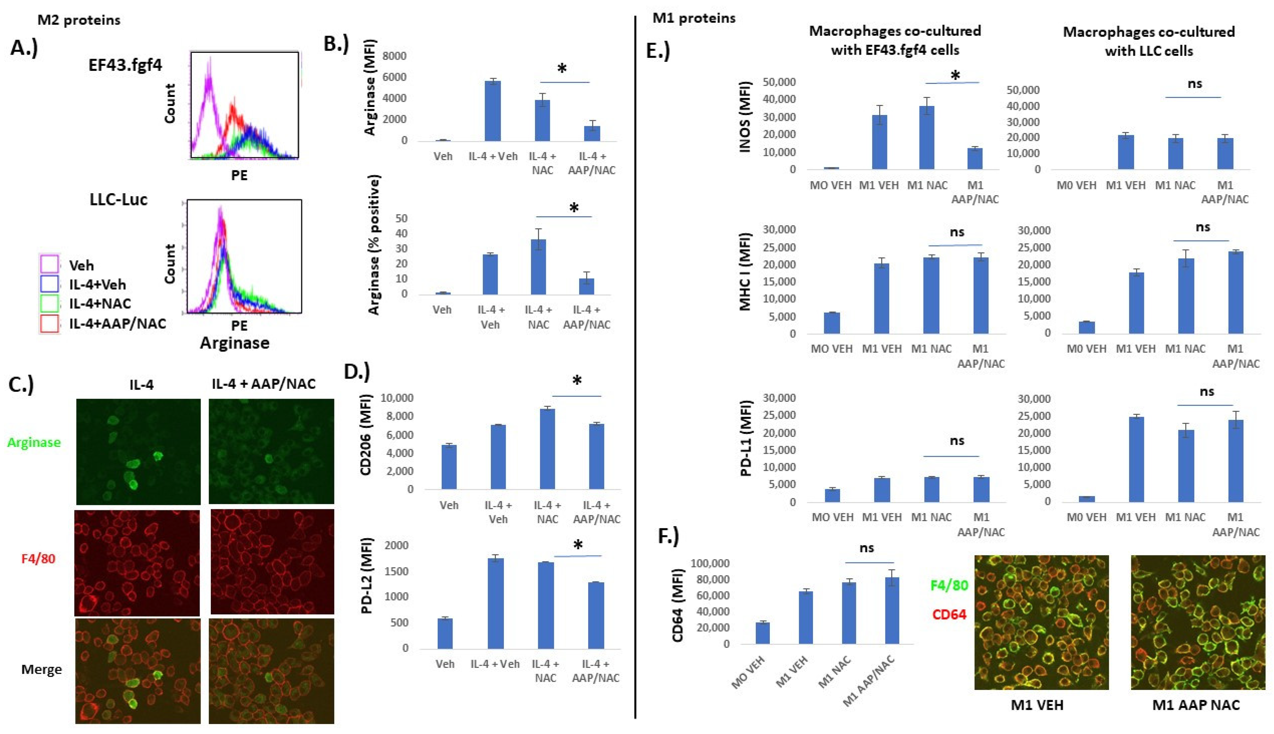 Cancers 15 04770 g003