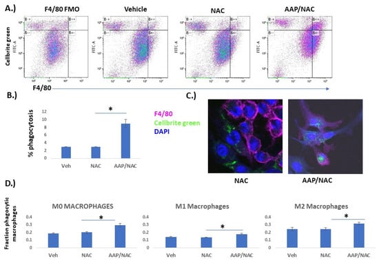 Cancers 15 04770 g004