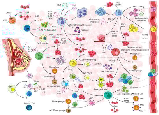 Cancers 15 04771 g002