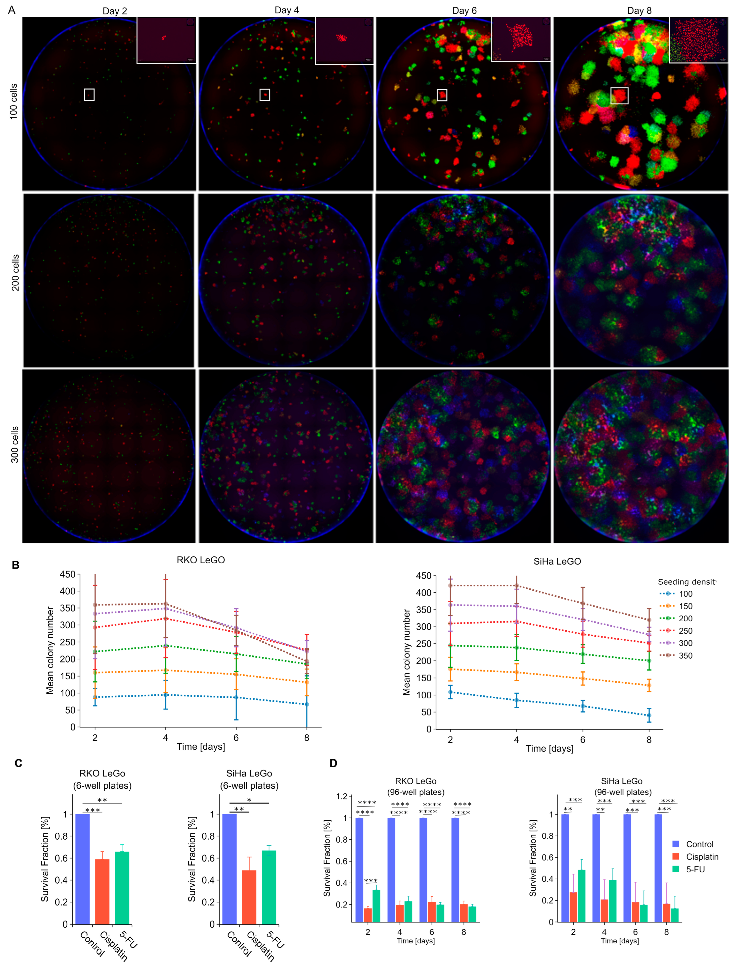 Cancers 15 04772 g005