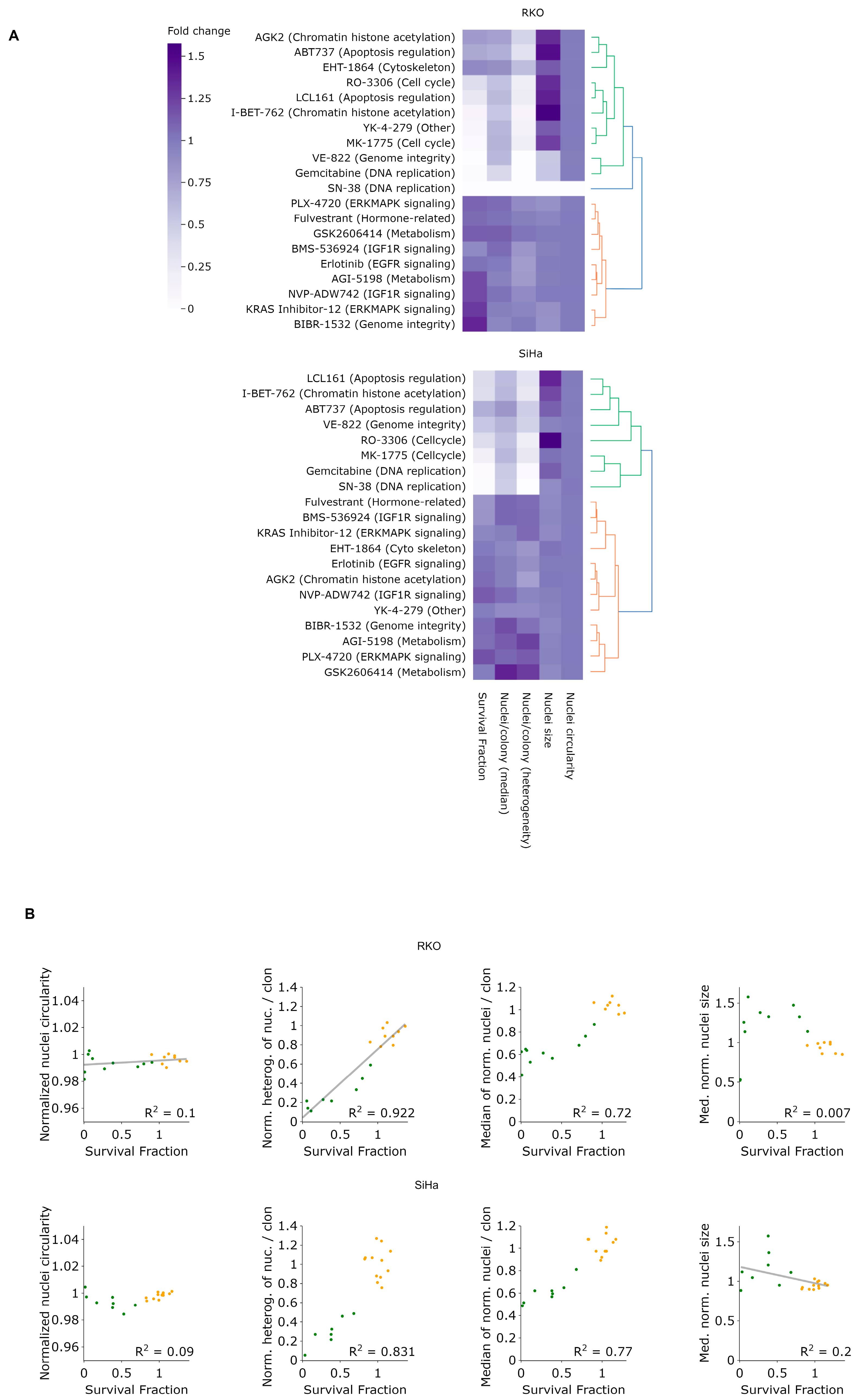 Cancers 15 04772 g008