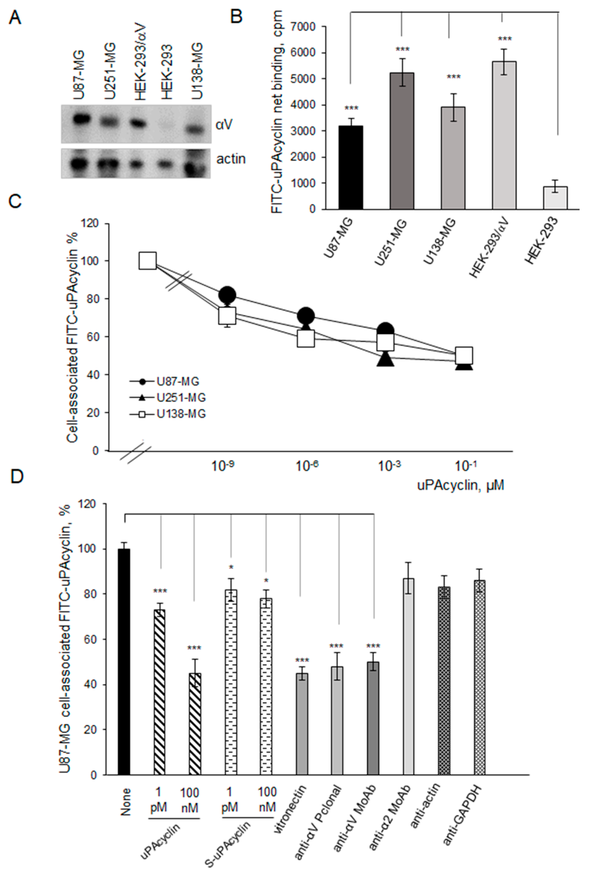 Cancers 15 04775 g002