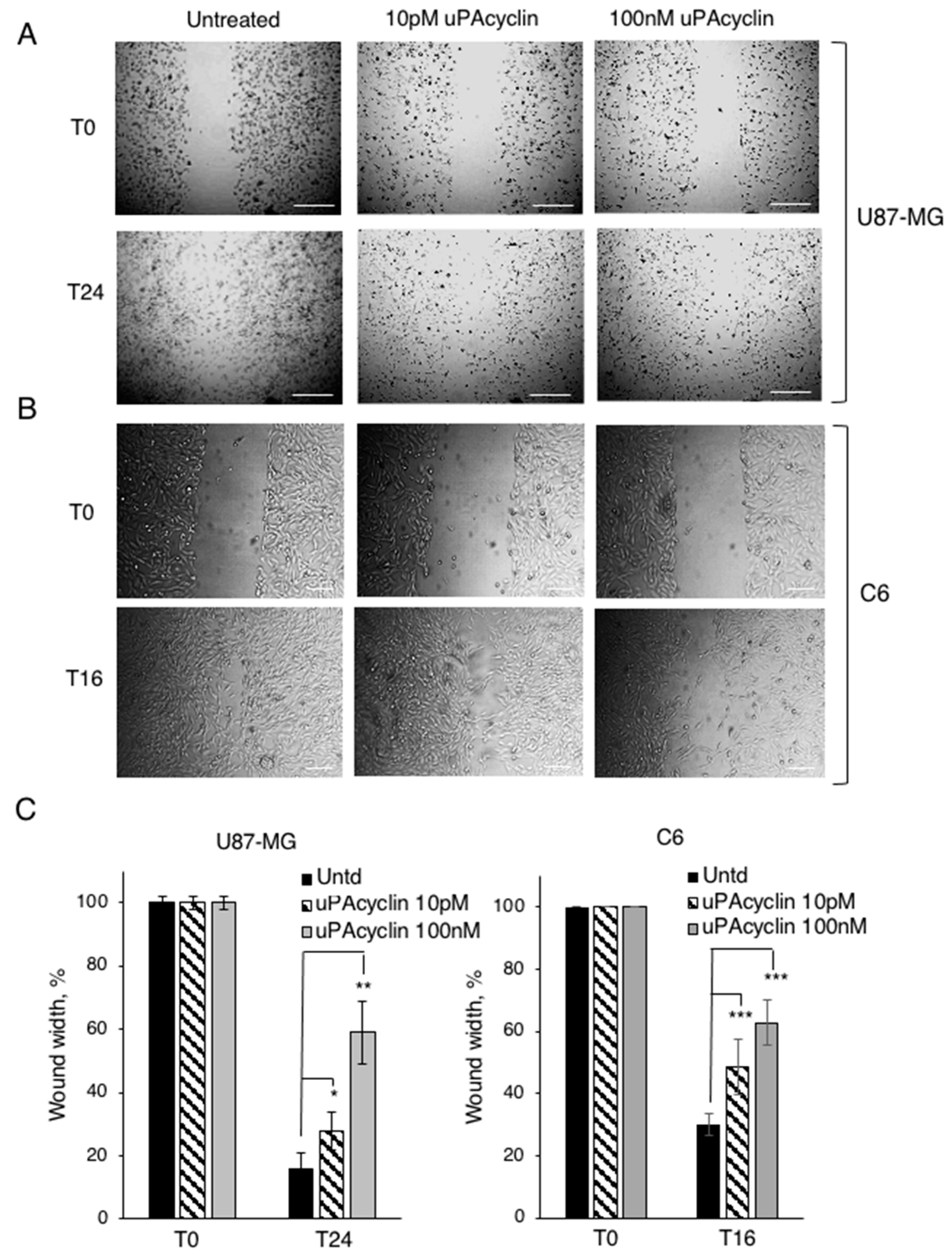 Cancers 15 04775 g005