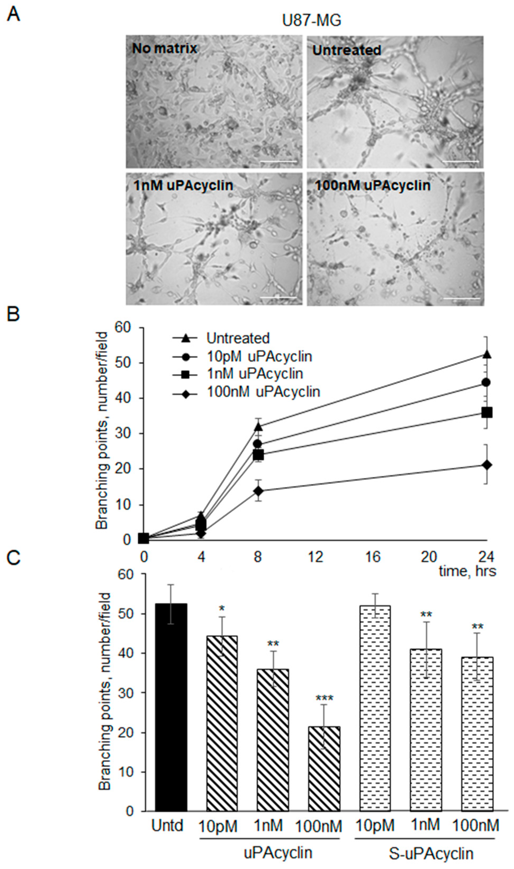 Cancers 15 04775 g006