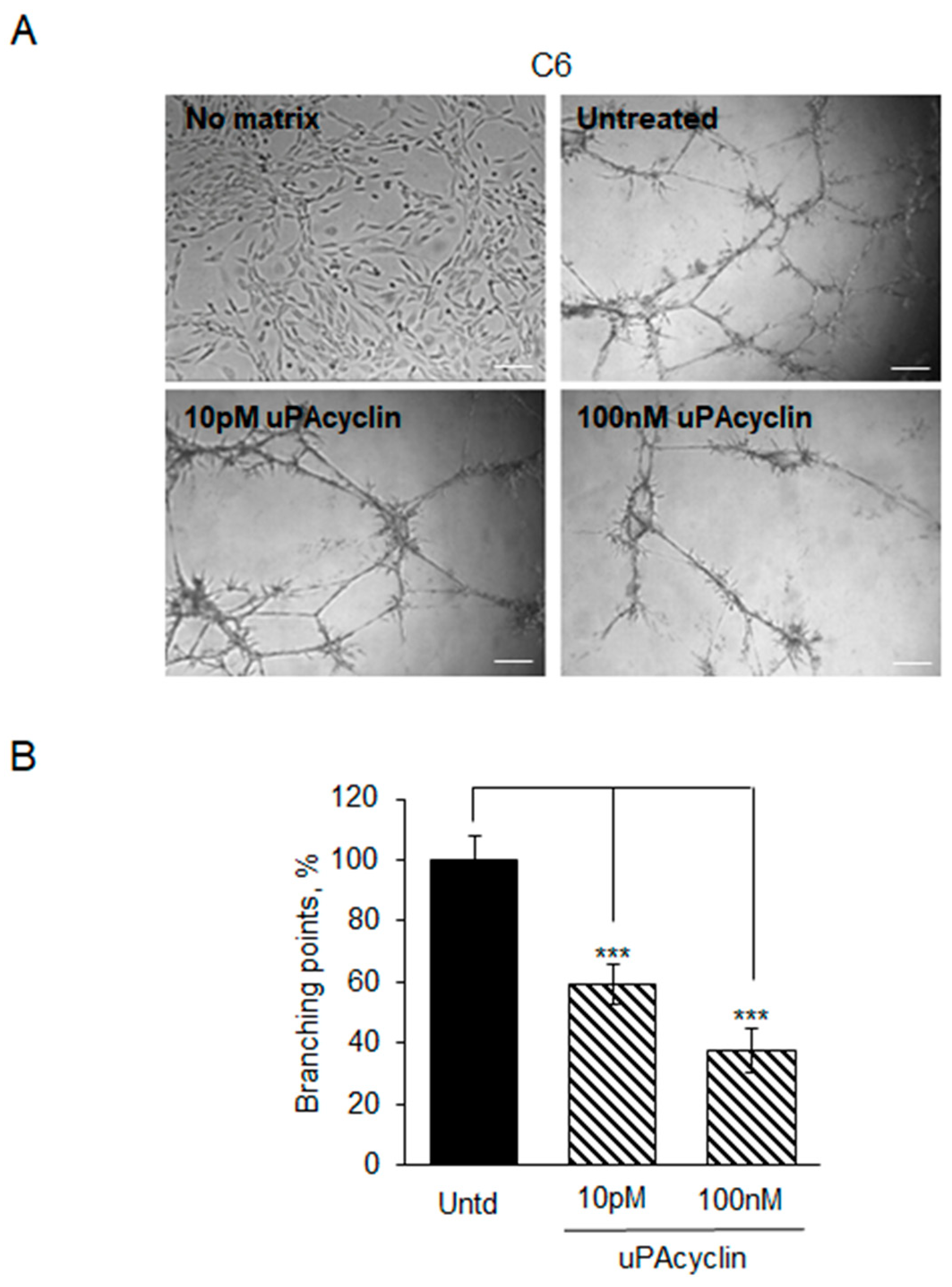 Cancers 15 04775 g007