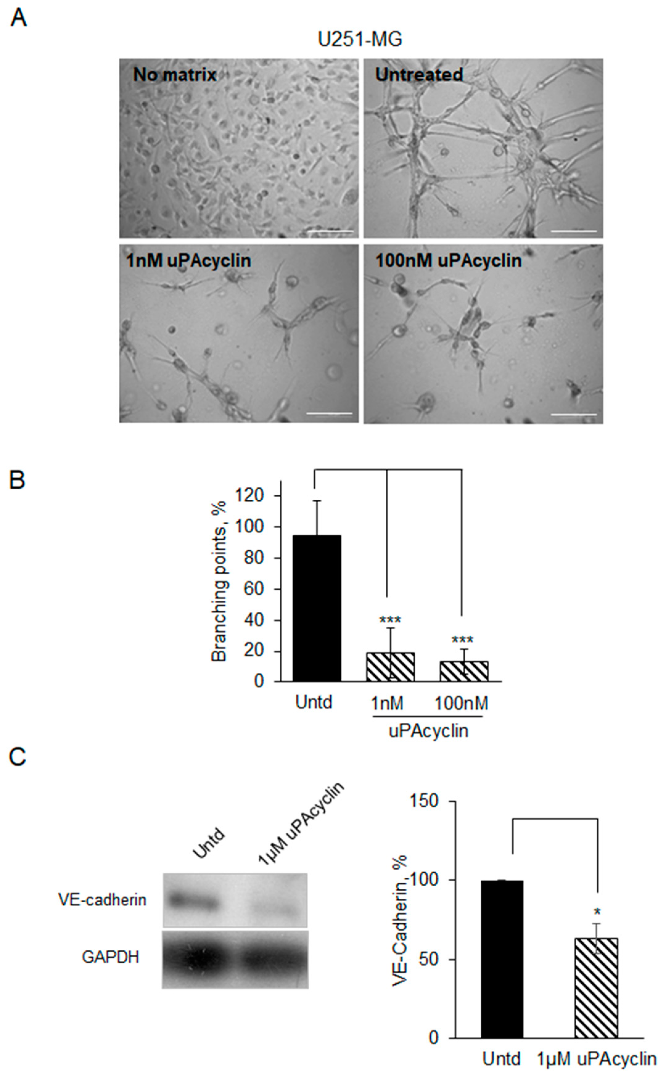 Cancers 15 04775 g008