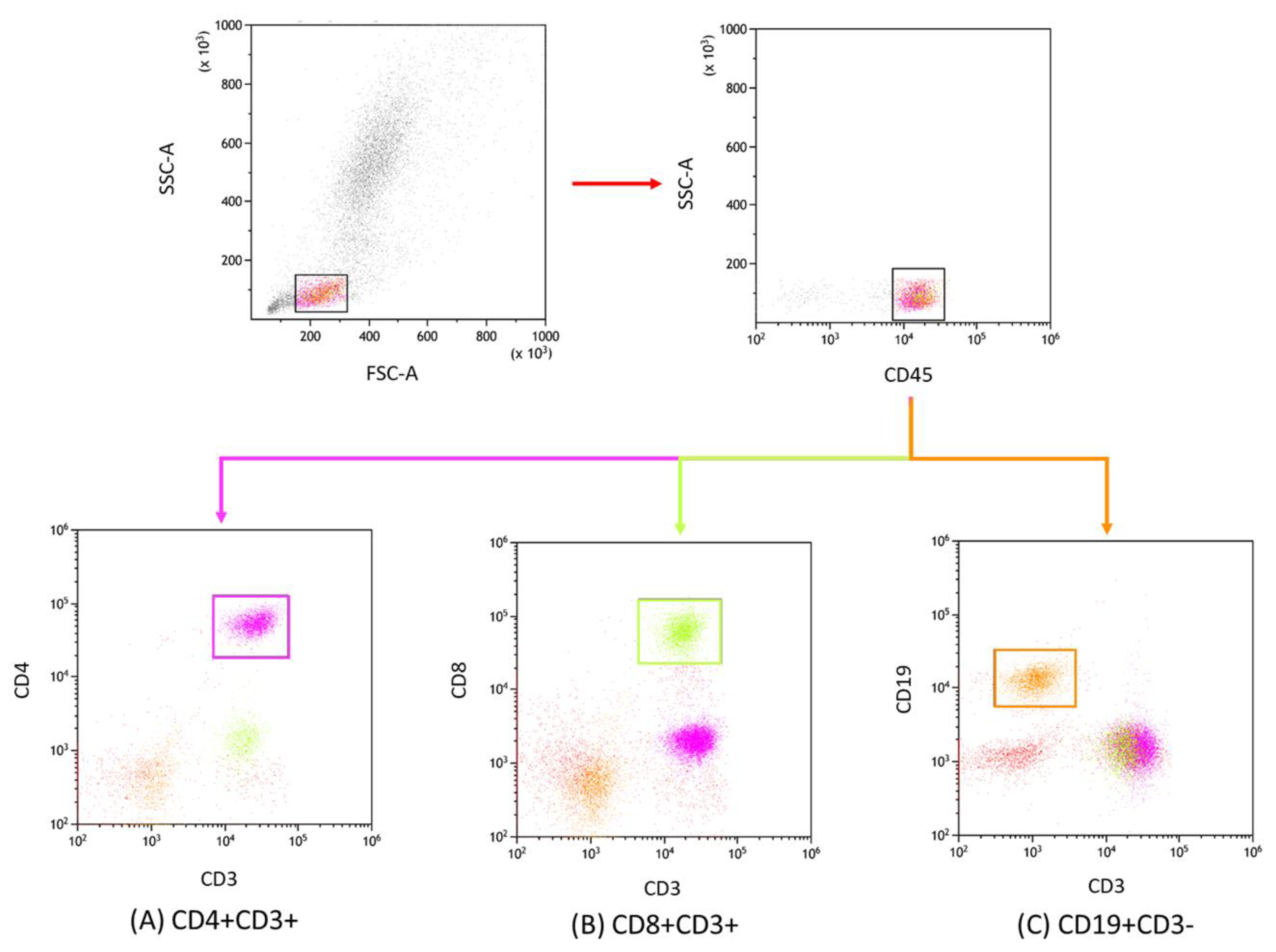 Cancers 15 04786 g001