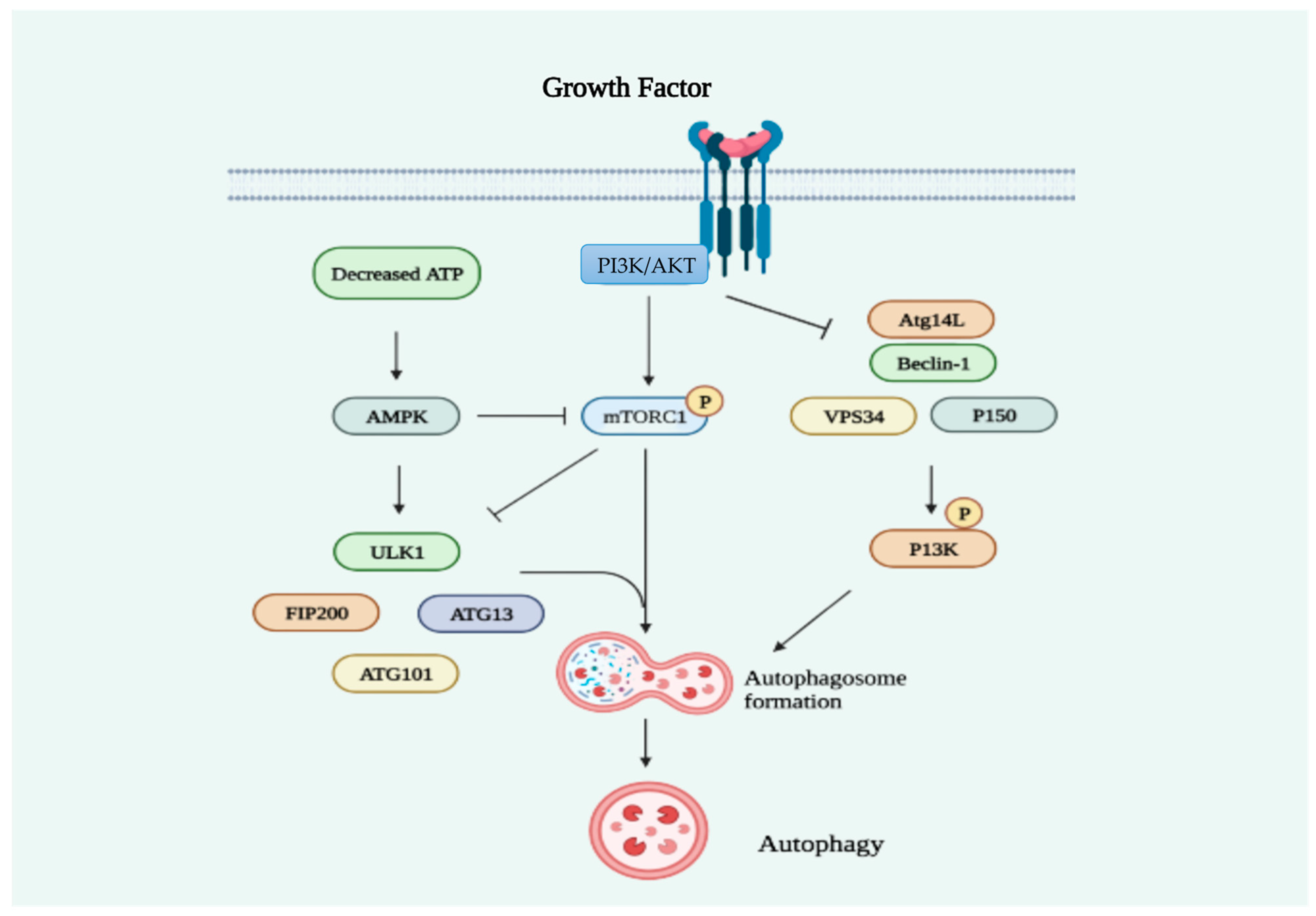 Cancers 15 04787 g002